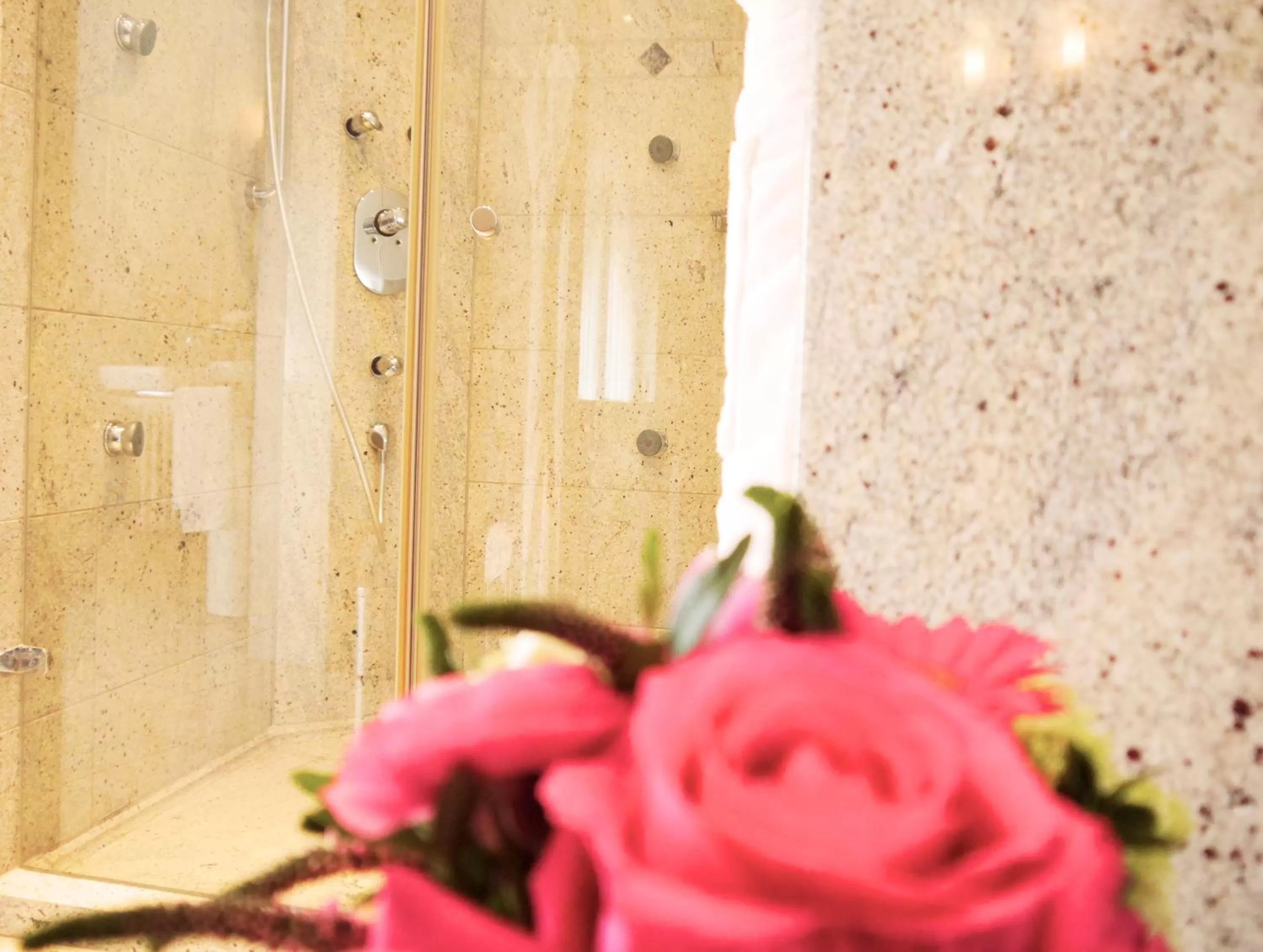 Shower in Villa Hammerschmiede