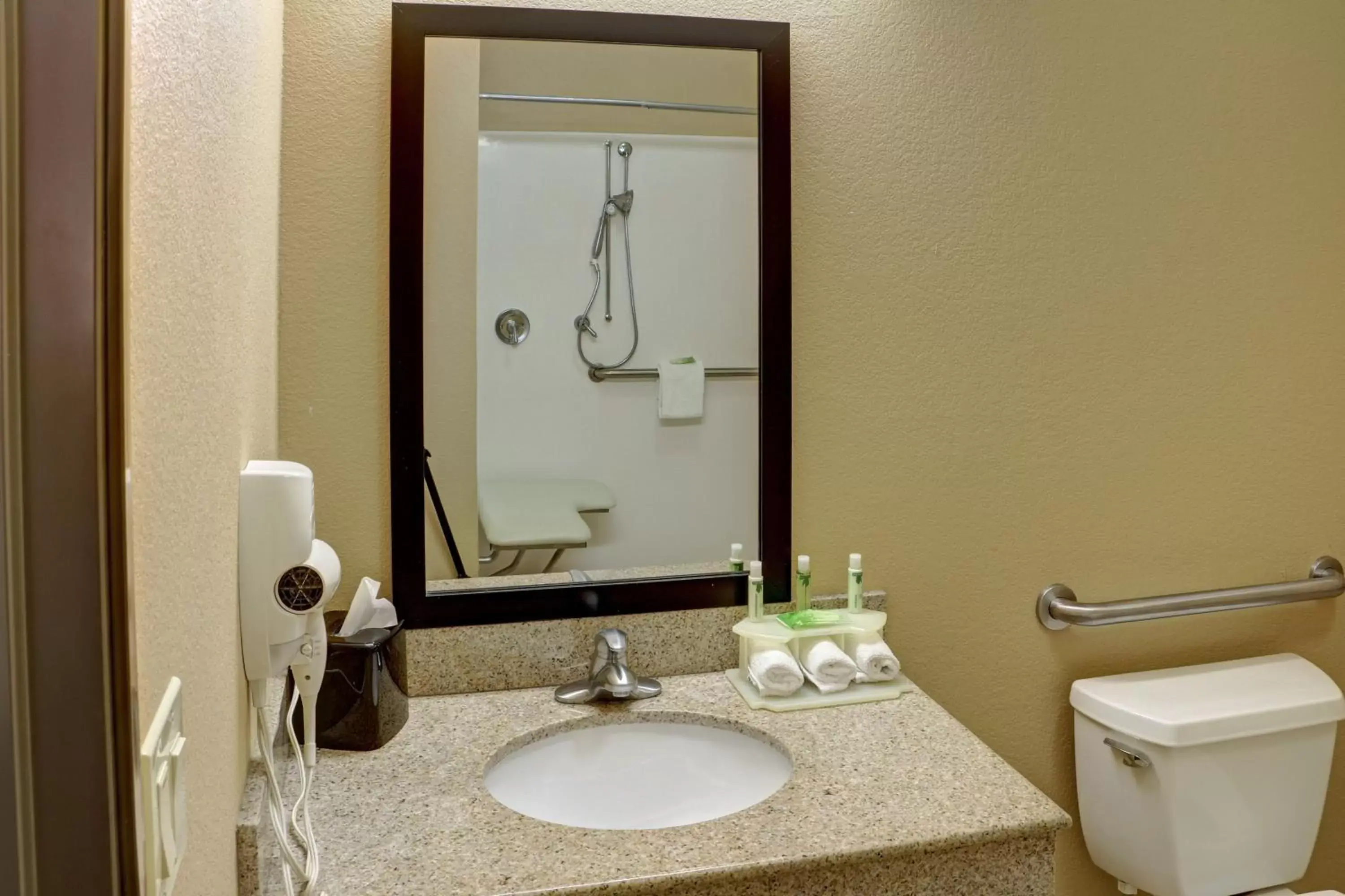 Bathroom in Holiday Inn Express Hotel & Suites Texarkana East, an IHG Hotel