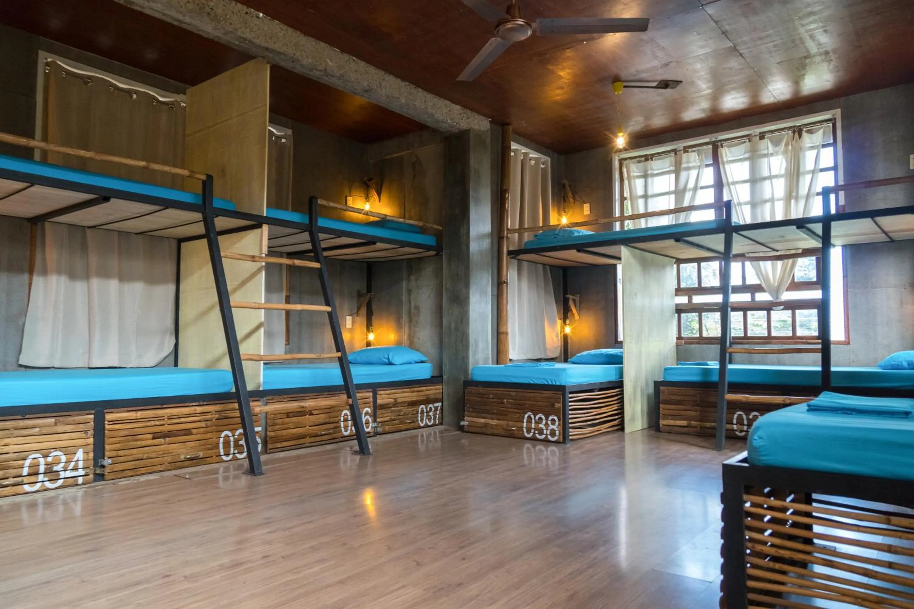 bunk bed in The Flying Fish Hostel