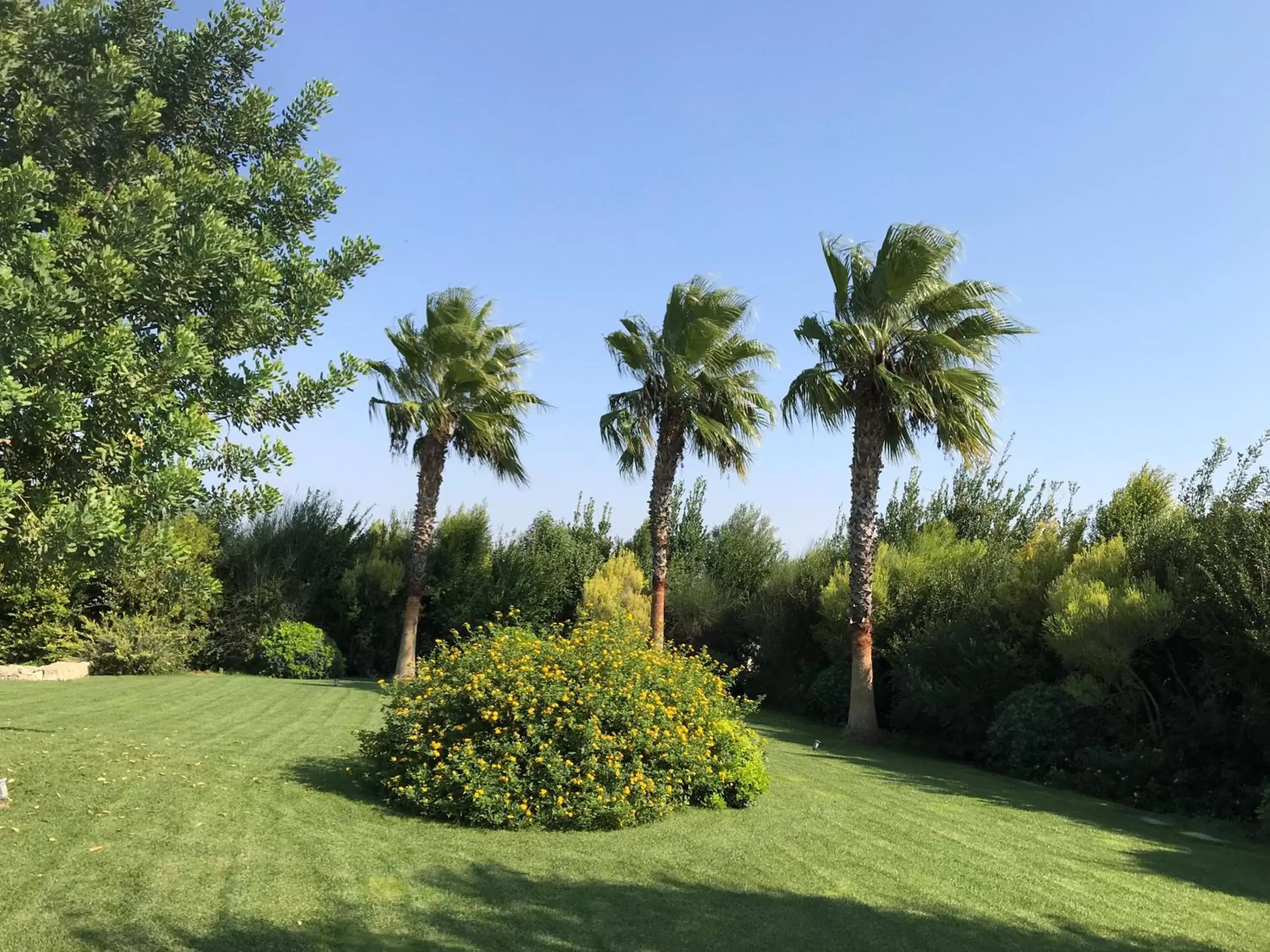 Garden in Relais Masseria della Colomba - Agriturismo