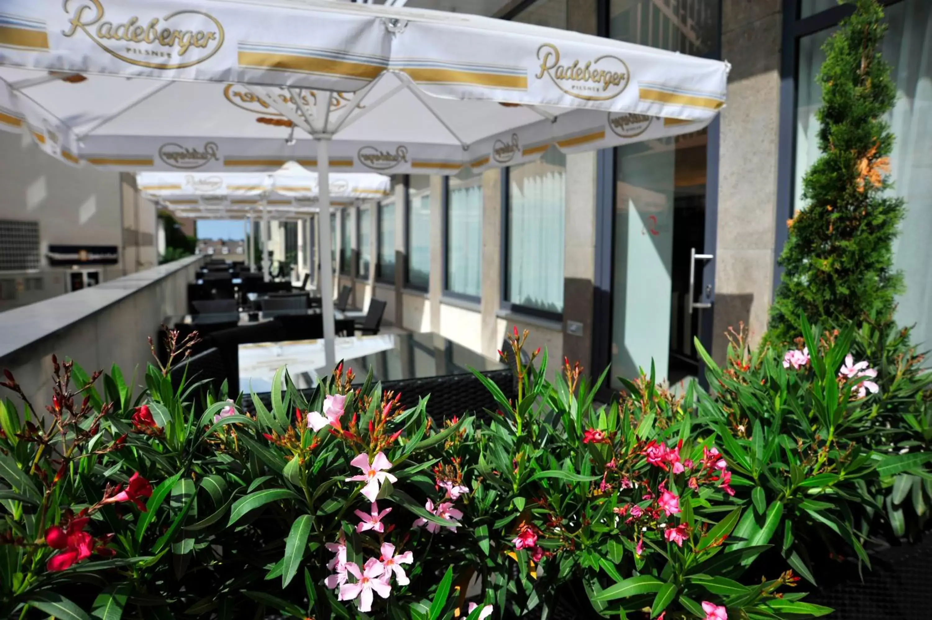 Balcony/Terrace in Golden Tulip Kassel Hotel Reiss