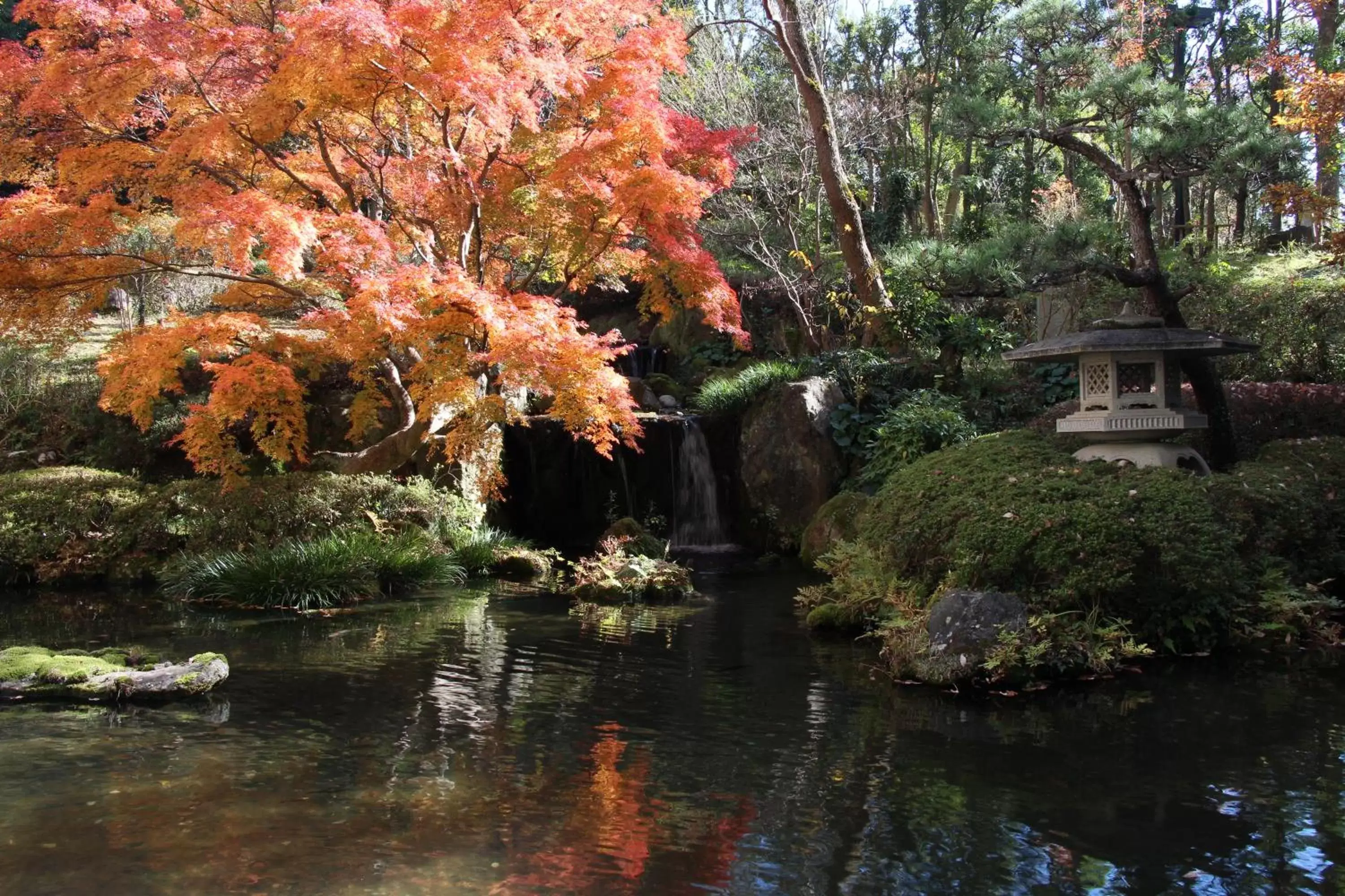 Garden in HOTEL MYSTAYS PREMIER Narita