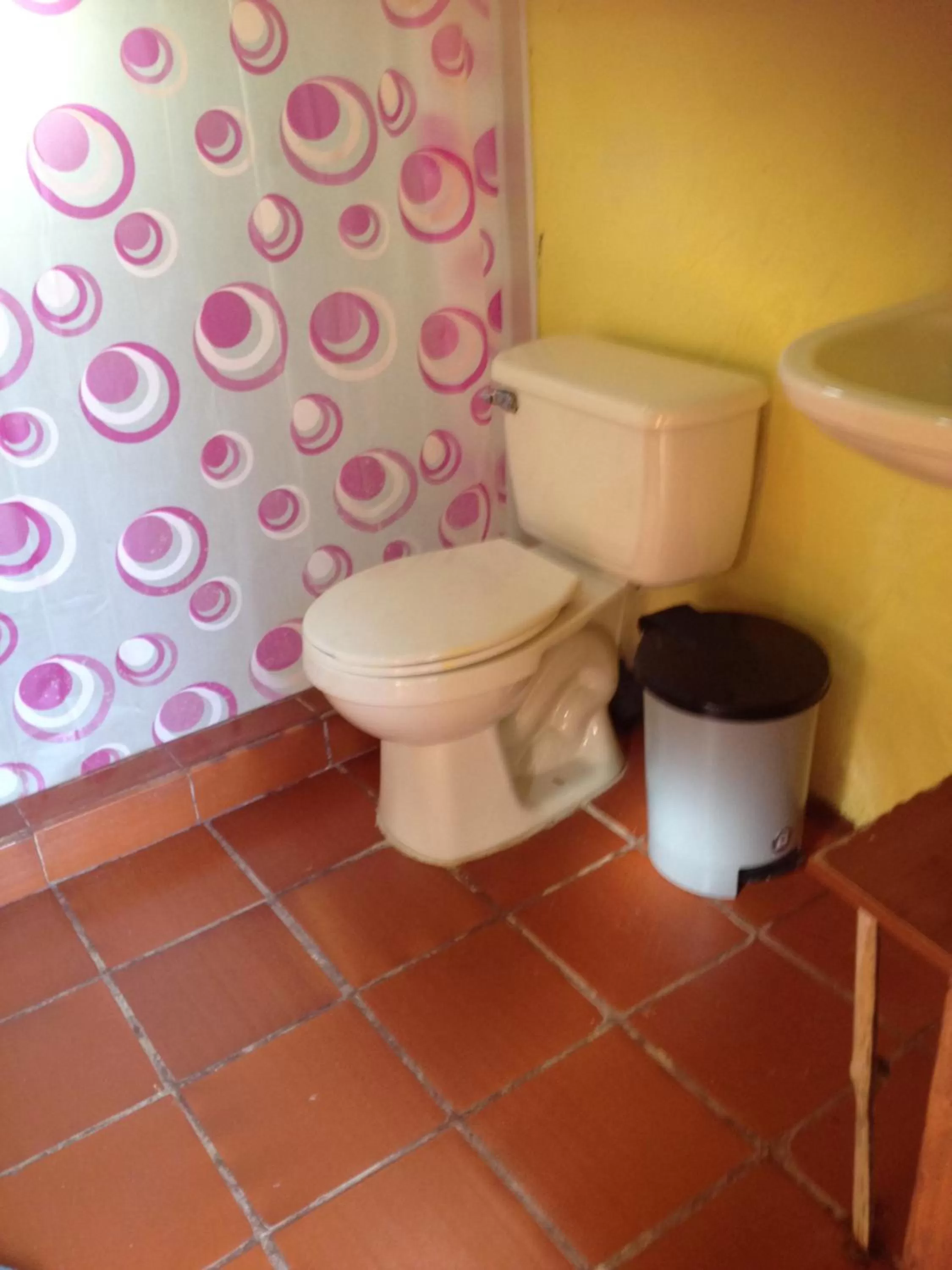 Bathroom in Casa finca típica the lake hotel