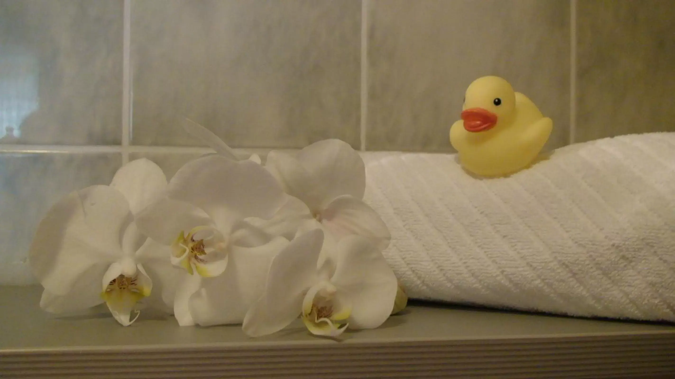 Bathroom in Hotel Cascade Superior