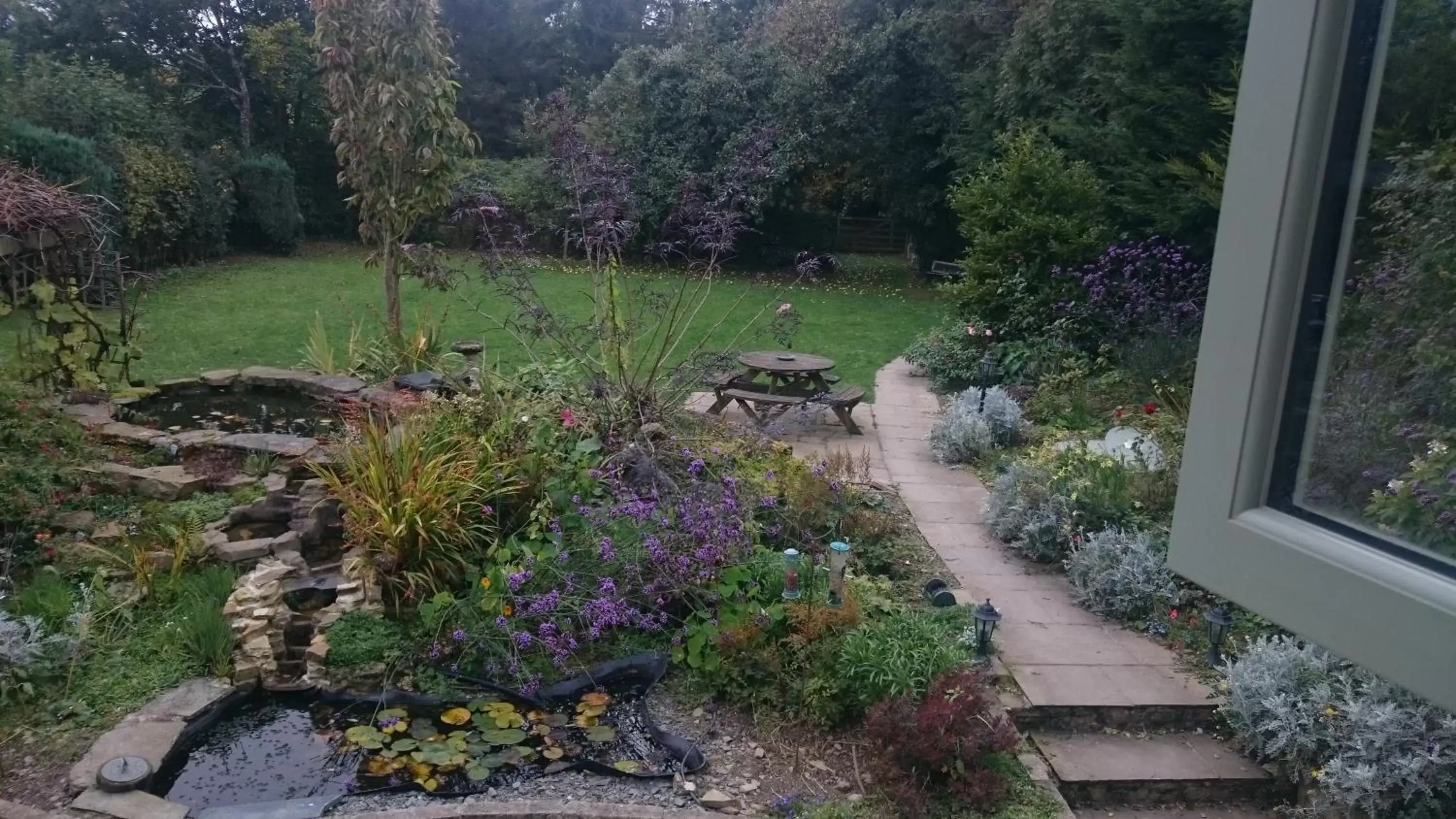 Garden view in Claw House