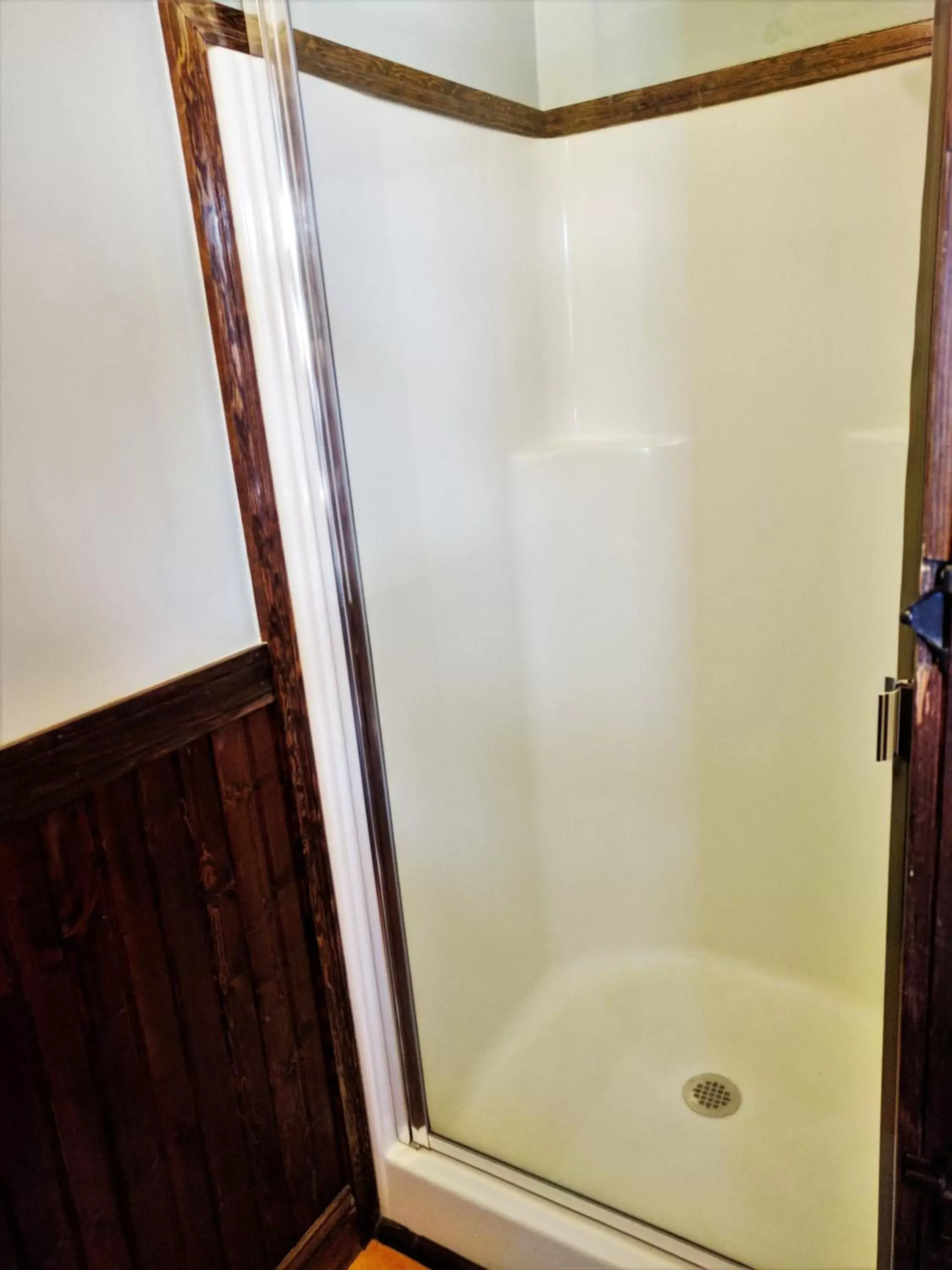 Shower, Bathroom in Bluebird Guesthouse