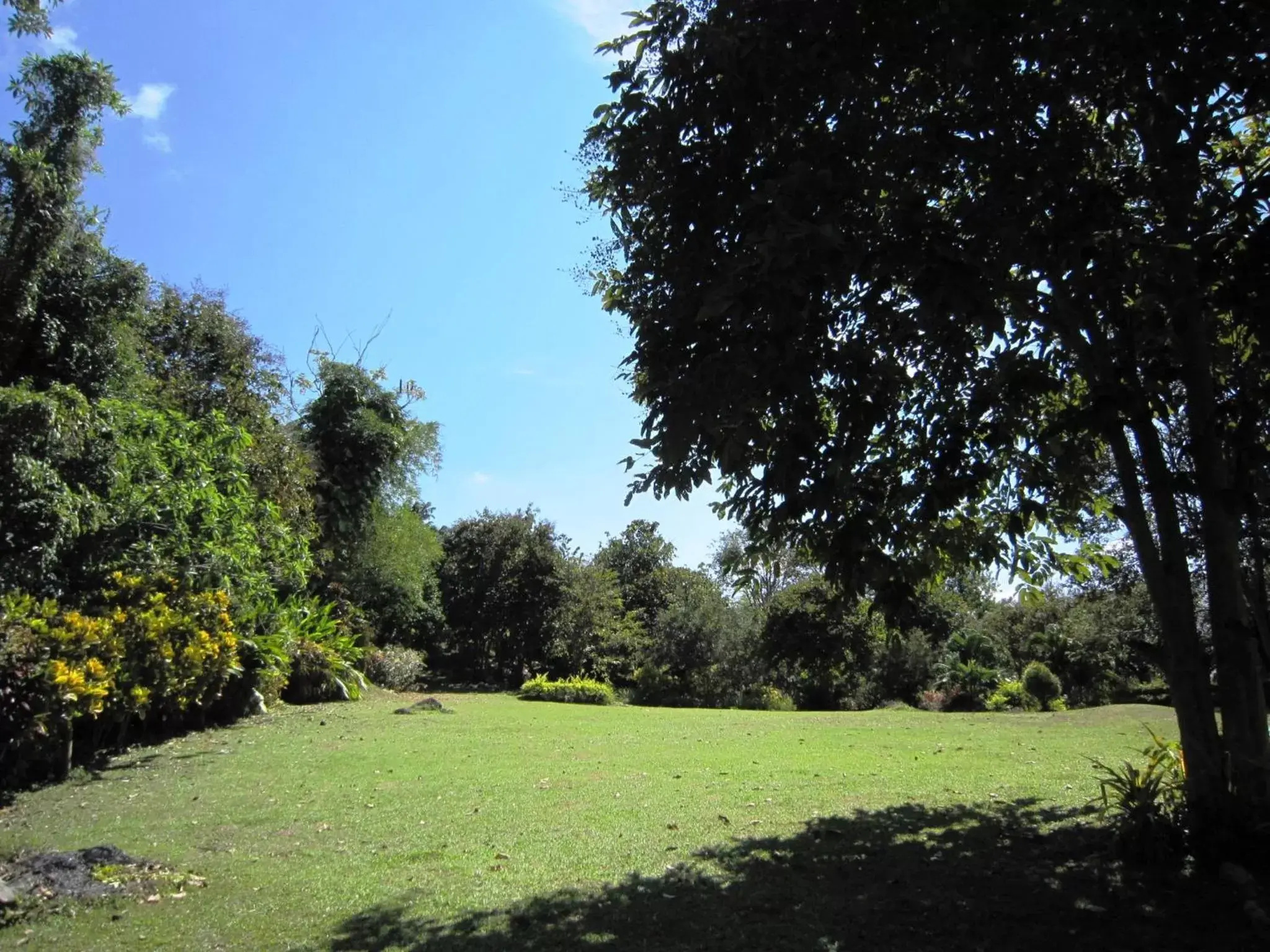 Garden in Phanom Bencha Mountain Resort