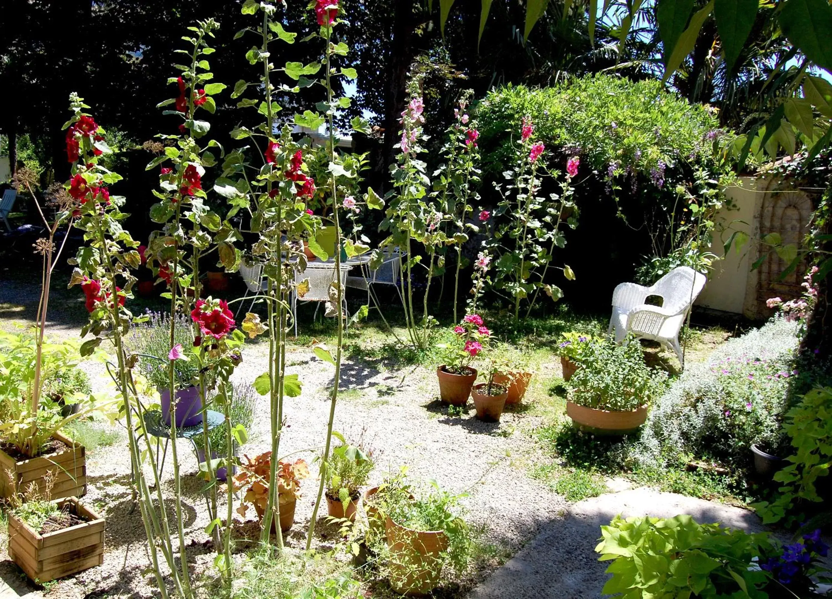 Garden in Madeleine Bergerac