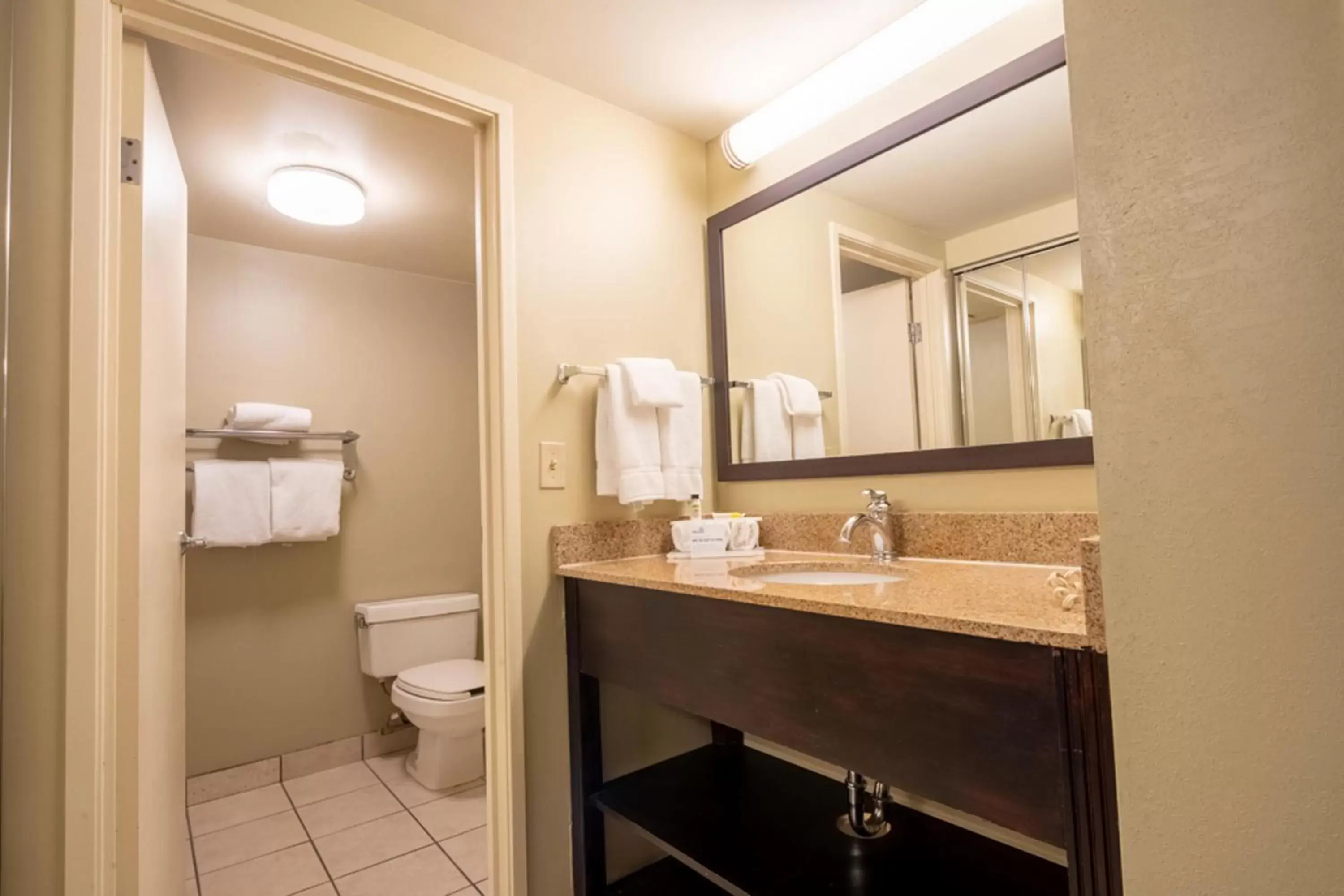 Bathroom in Holiday Inn Express Hotel & Suites Pittsburgh Airport, an IHG Hotel