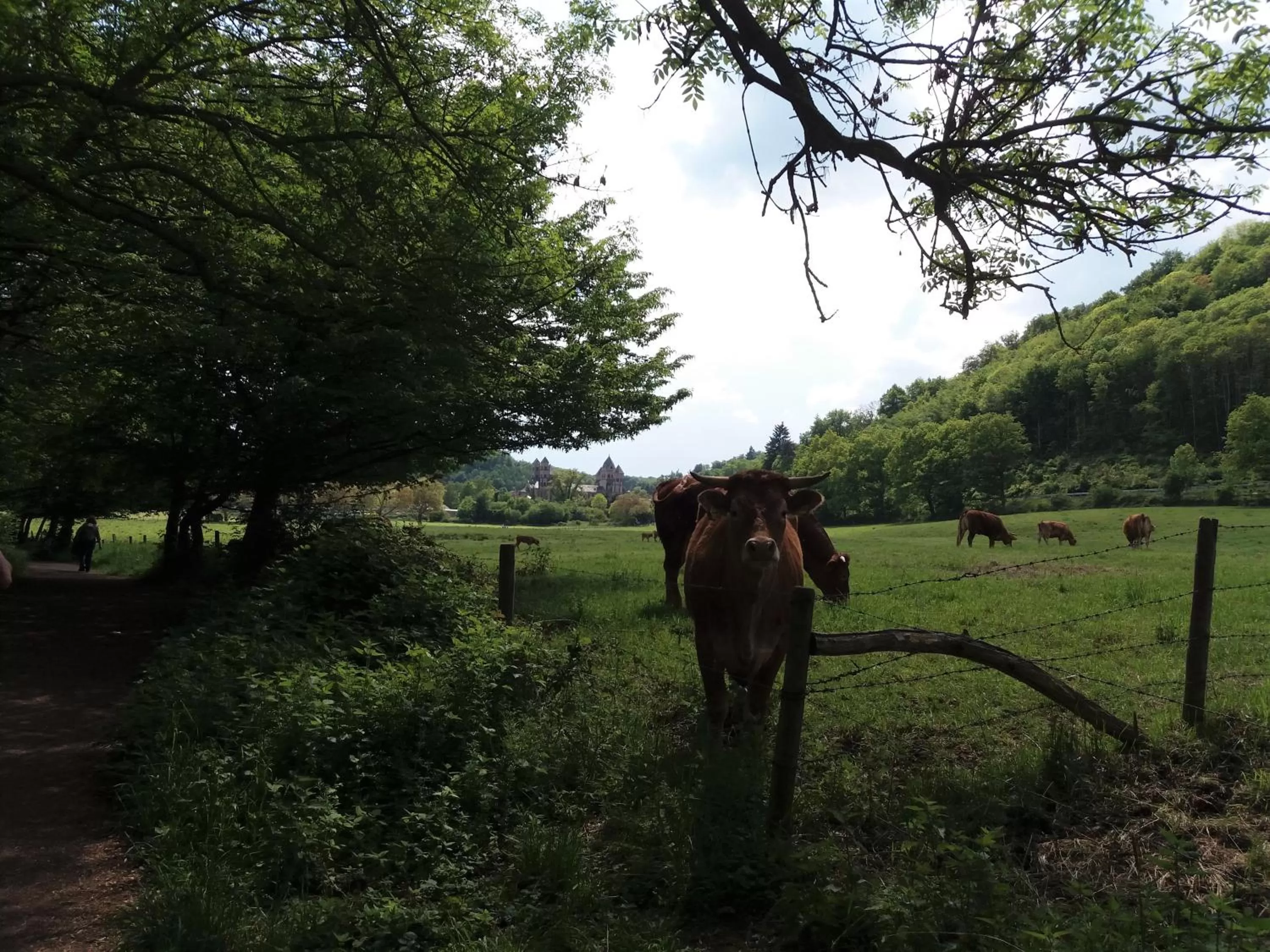 Hiking in Gästehaus Am Hochsimmer