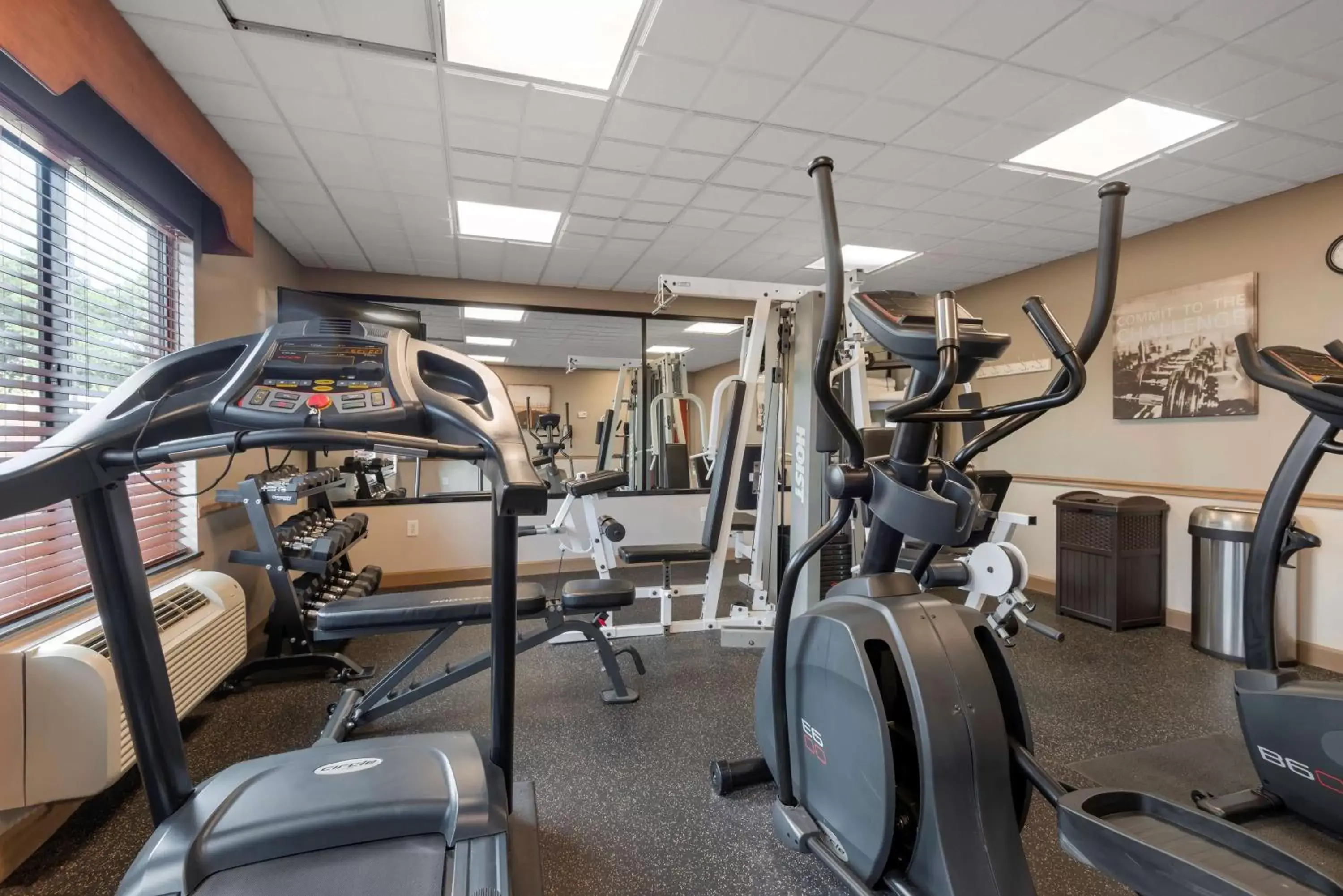 Spa and wellness centre/facilities, Fitness Center/Facilities in Best Western Plus Suites Greenville