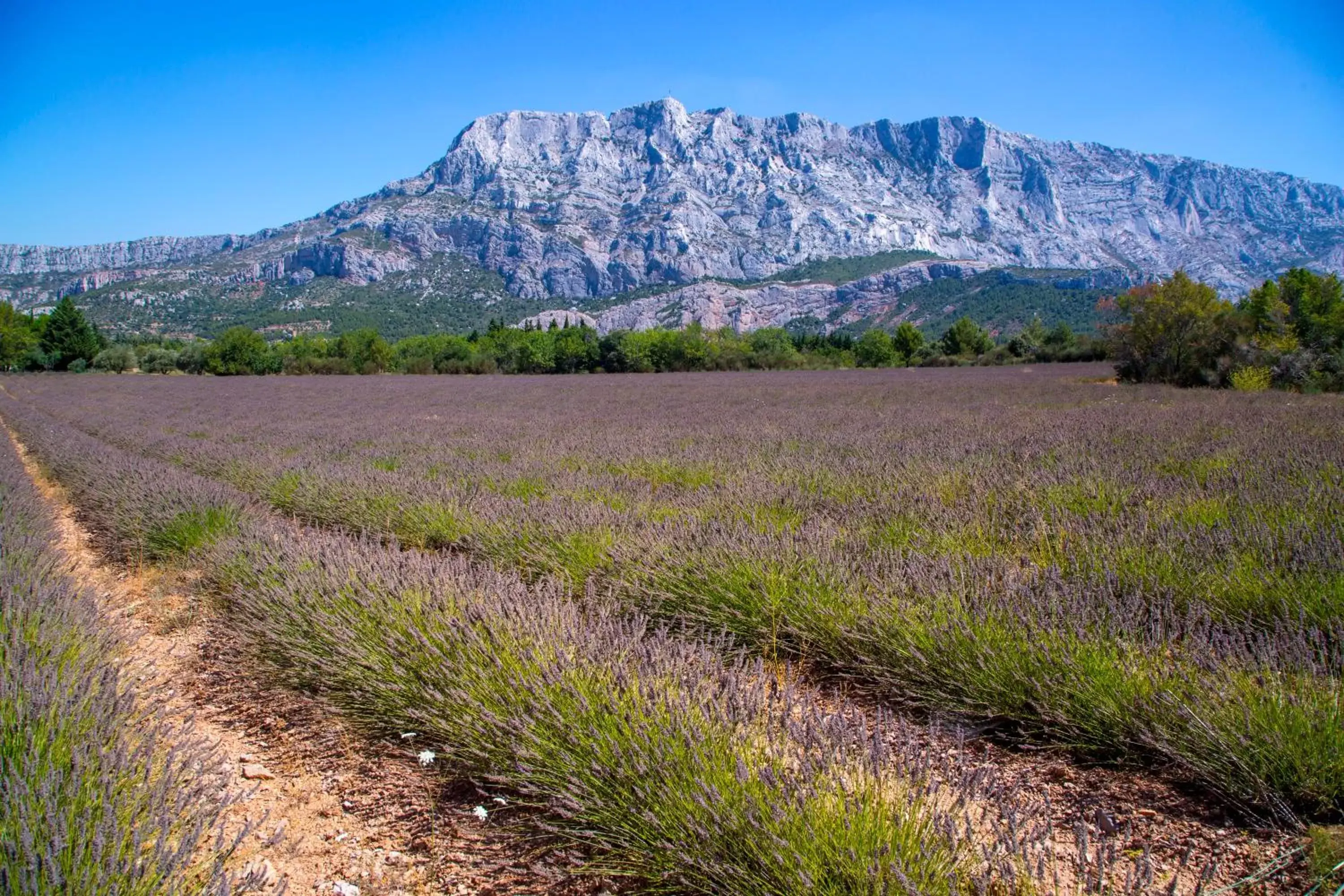 Natural landscape in Campanile Aix-en-Provence Sud - Pont de l'Arc