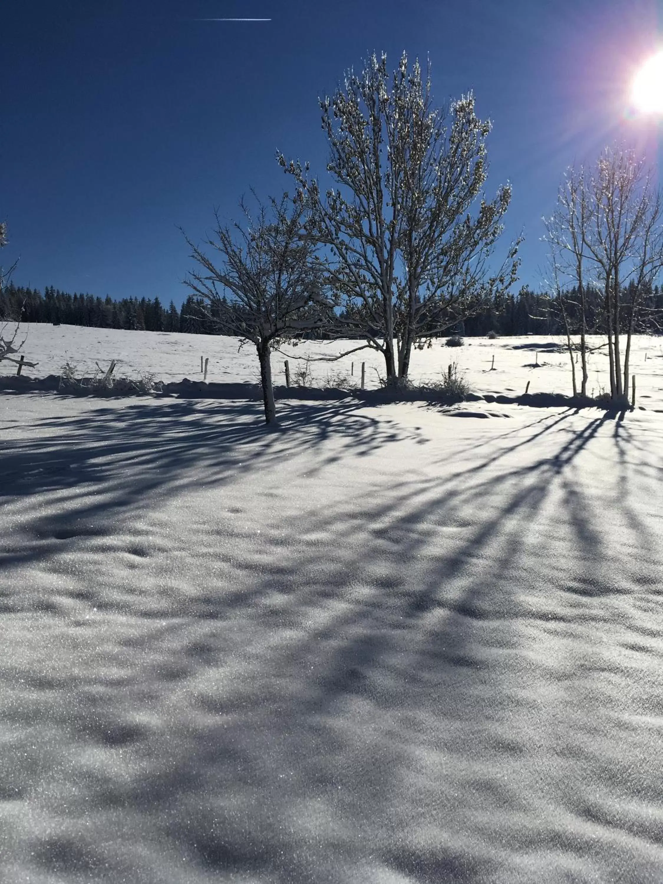 Natural landscape, Winter in Le Tillau