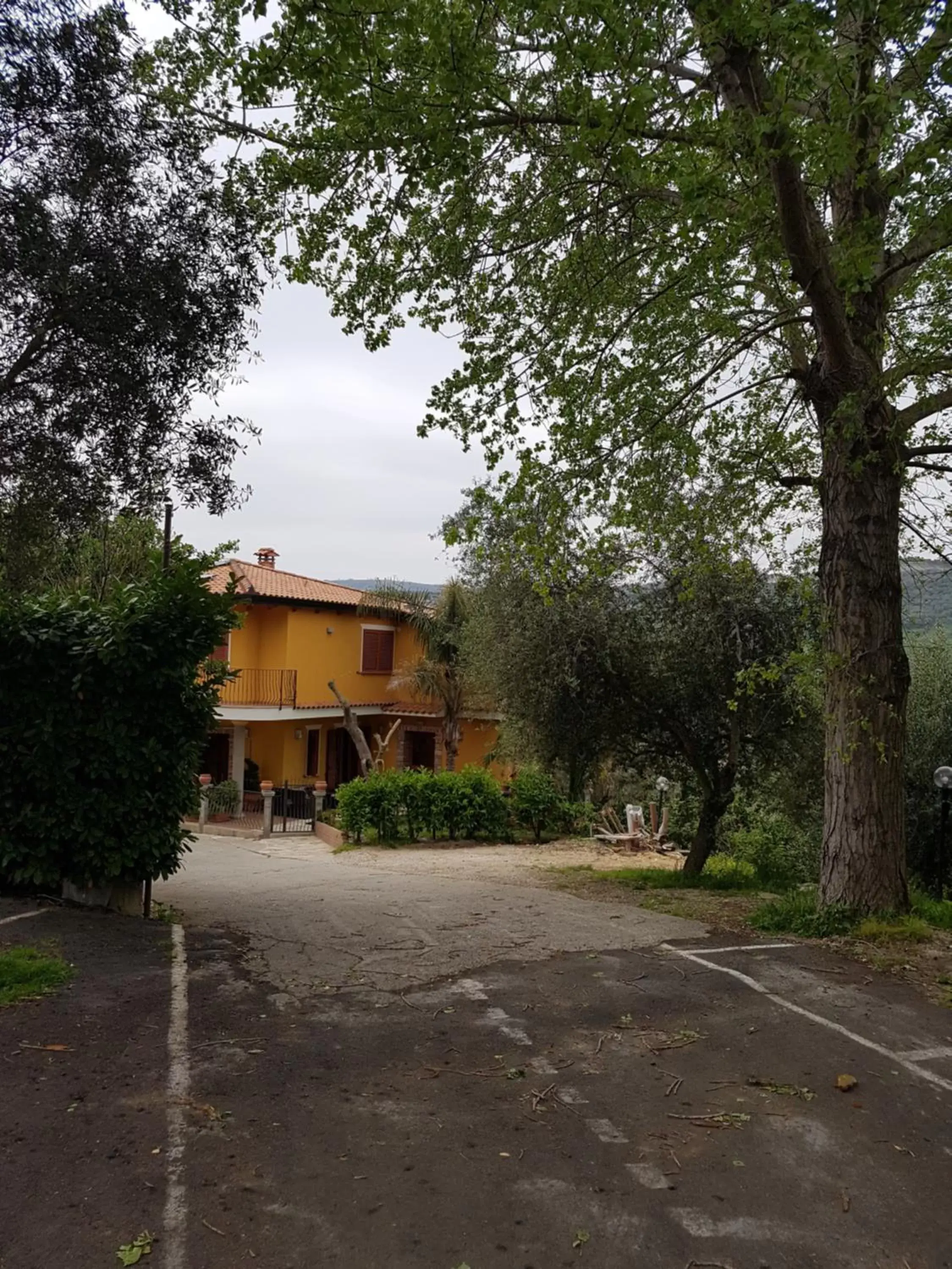 Garden, Property Building in San Pietro