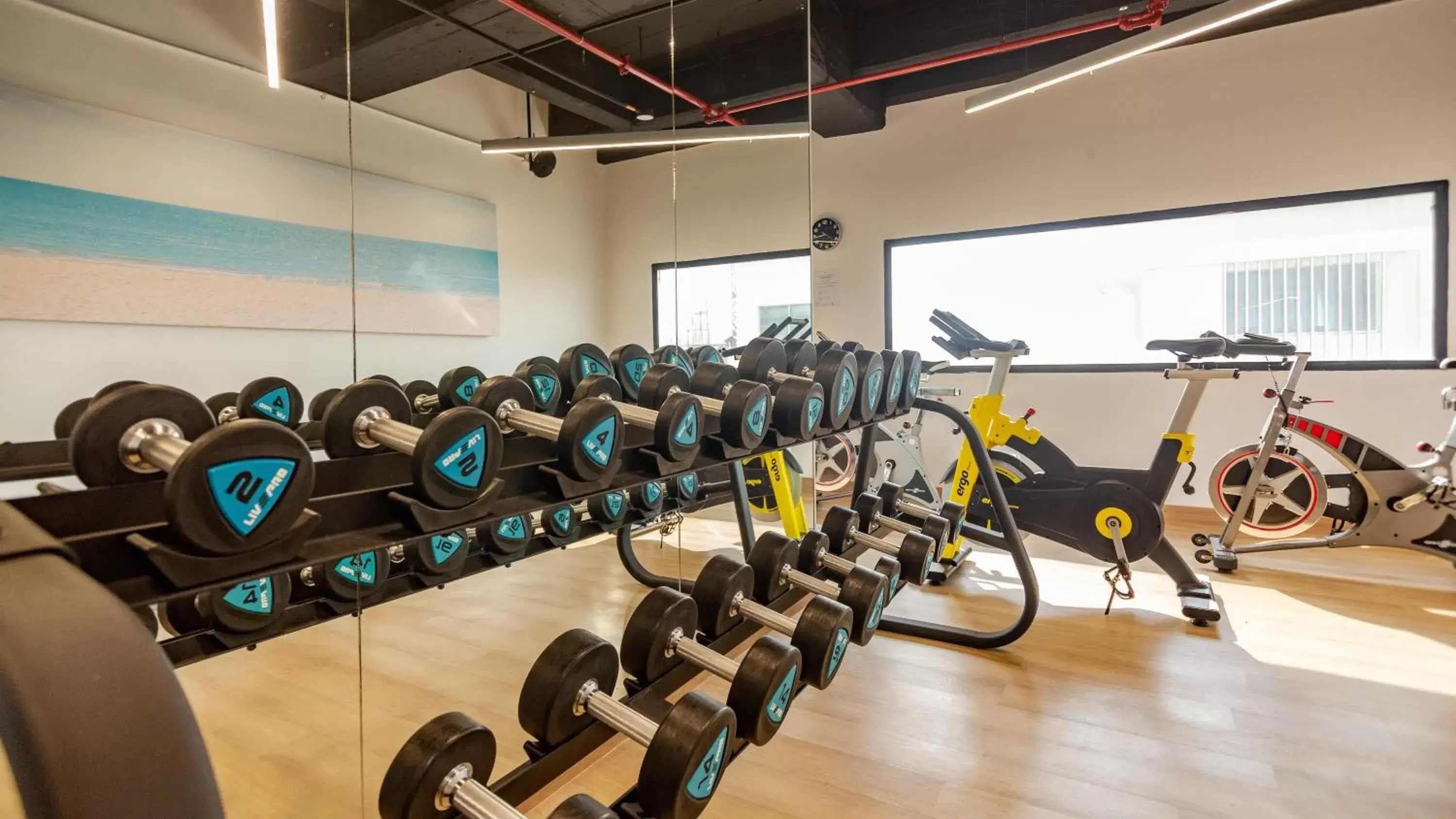 Fitness centre/facilities, Fitness Center/Facilities in Holiday Inn Express Cartagena Manga, an IHG Hotel