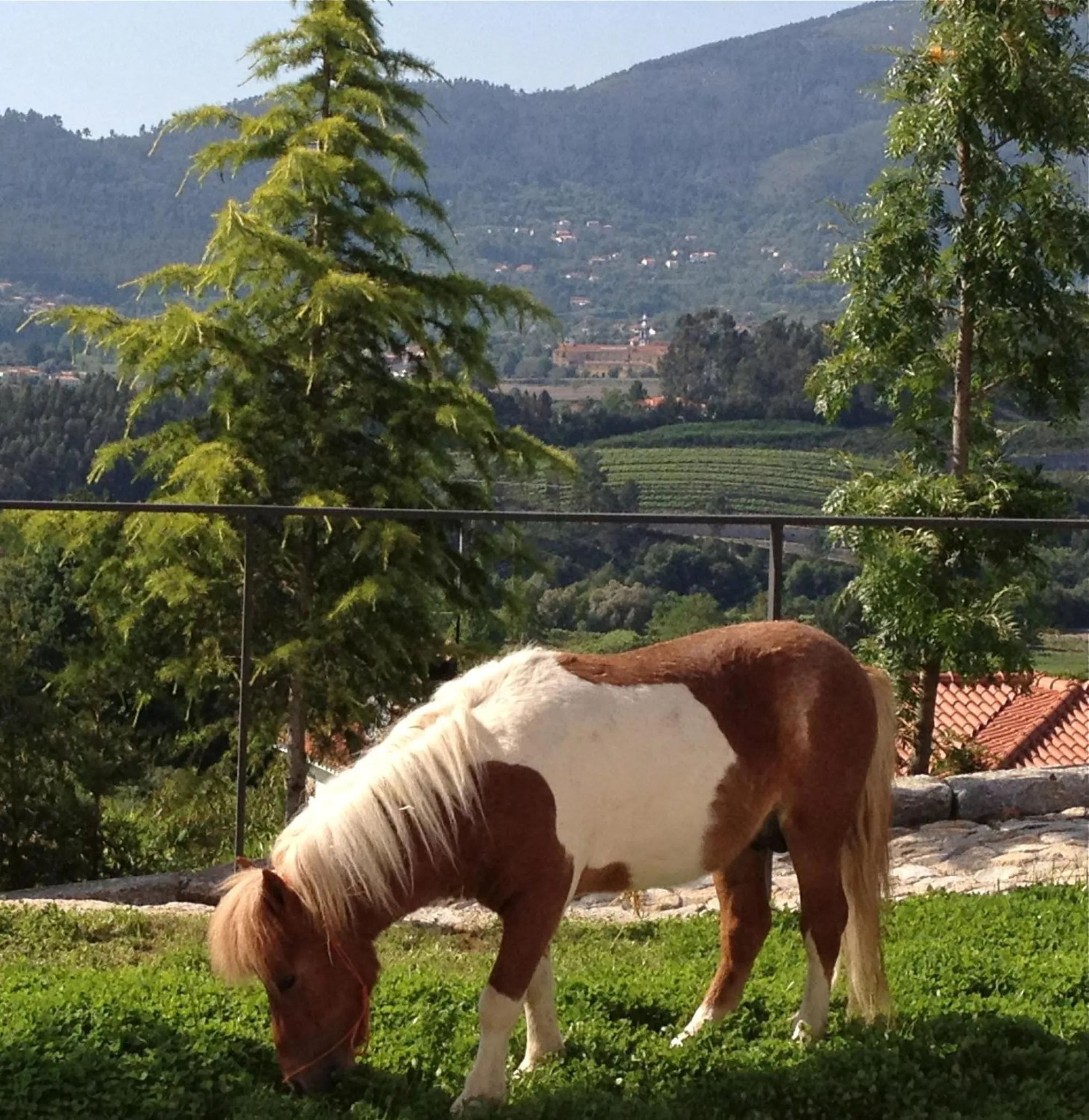 Area and facilities in Carmo's Boutique Hotel - Small Luxury Hotels of the World