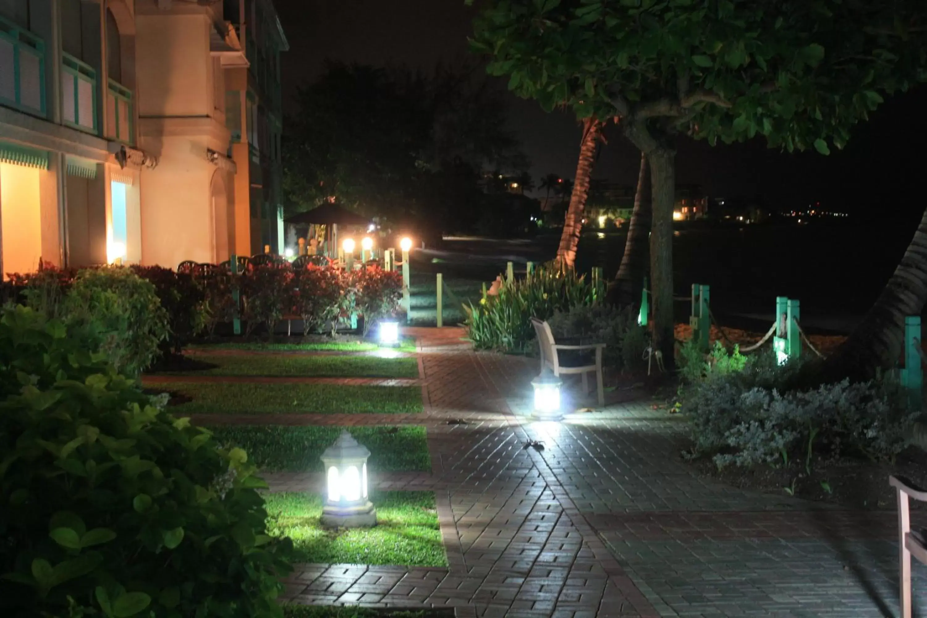 Area and facilities, Garden in Coral Mist Beach Hotel