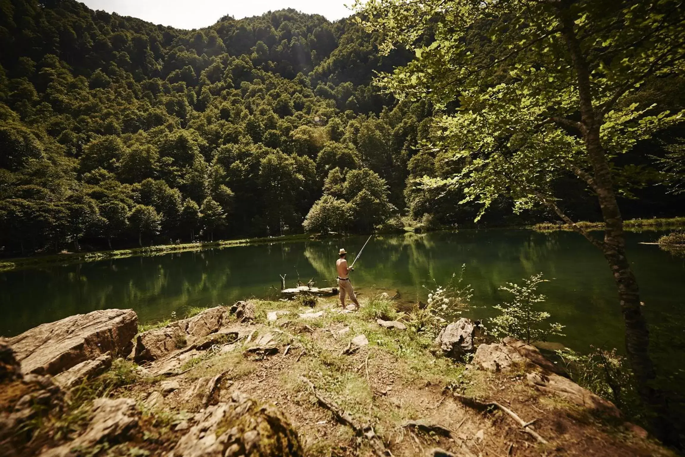 Summer, Natural Landscape in La Halte du Temps