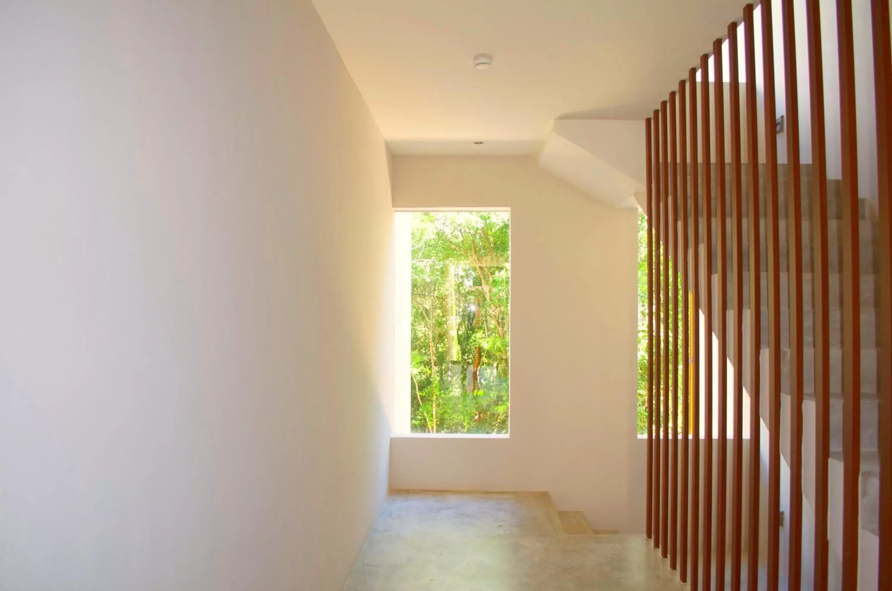 Property building in Gardens Coba - Luxury Cardinal