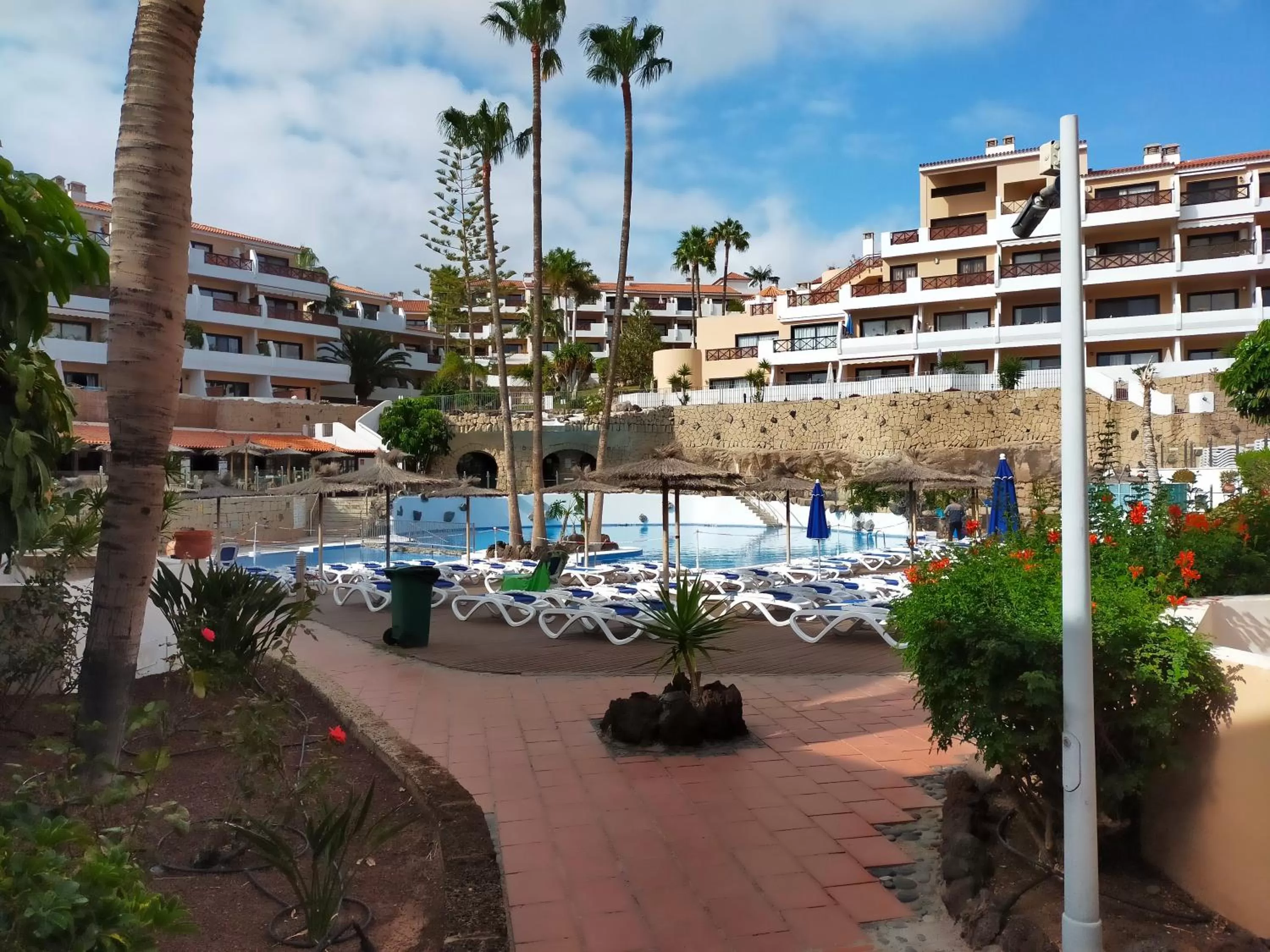 Pool view in Apartment South Tenerife