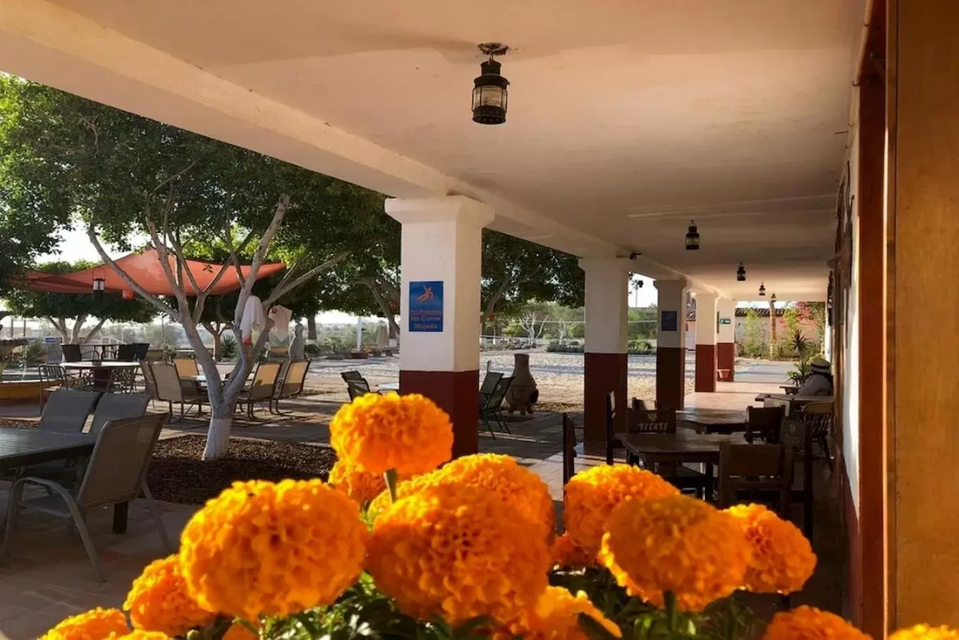 Patio, Restaurant/Places to Eat in Hotel Las Palmas