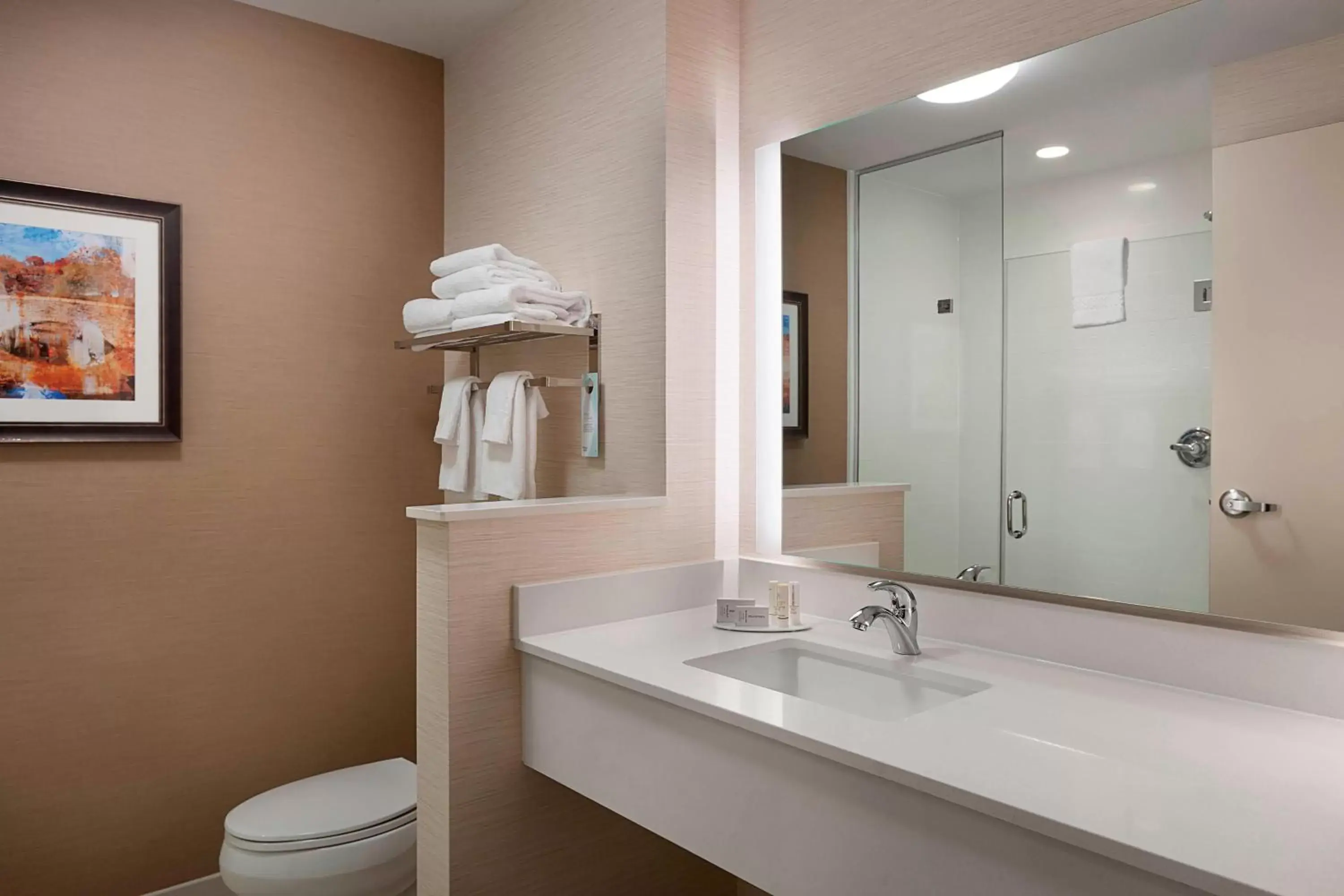 Bathroom in Fairfield Inn & Suites by Marriott Rock Hill