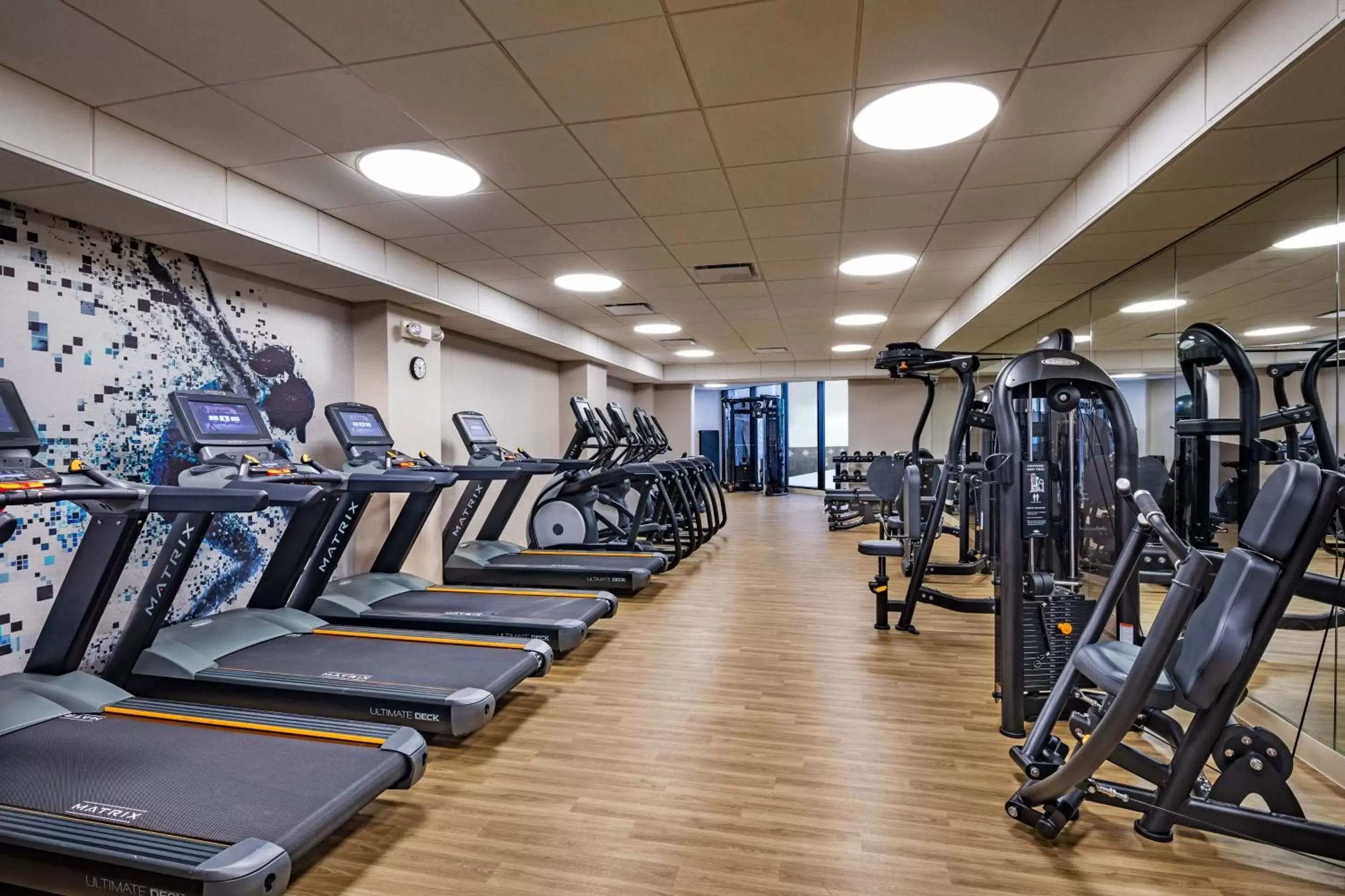 Fitness centre/facilities, Fitness Center/Facilities in Sheraton Edison