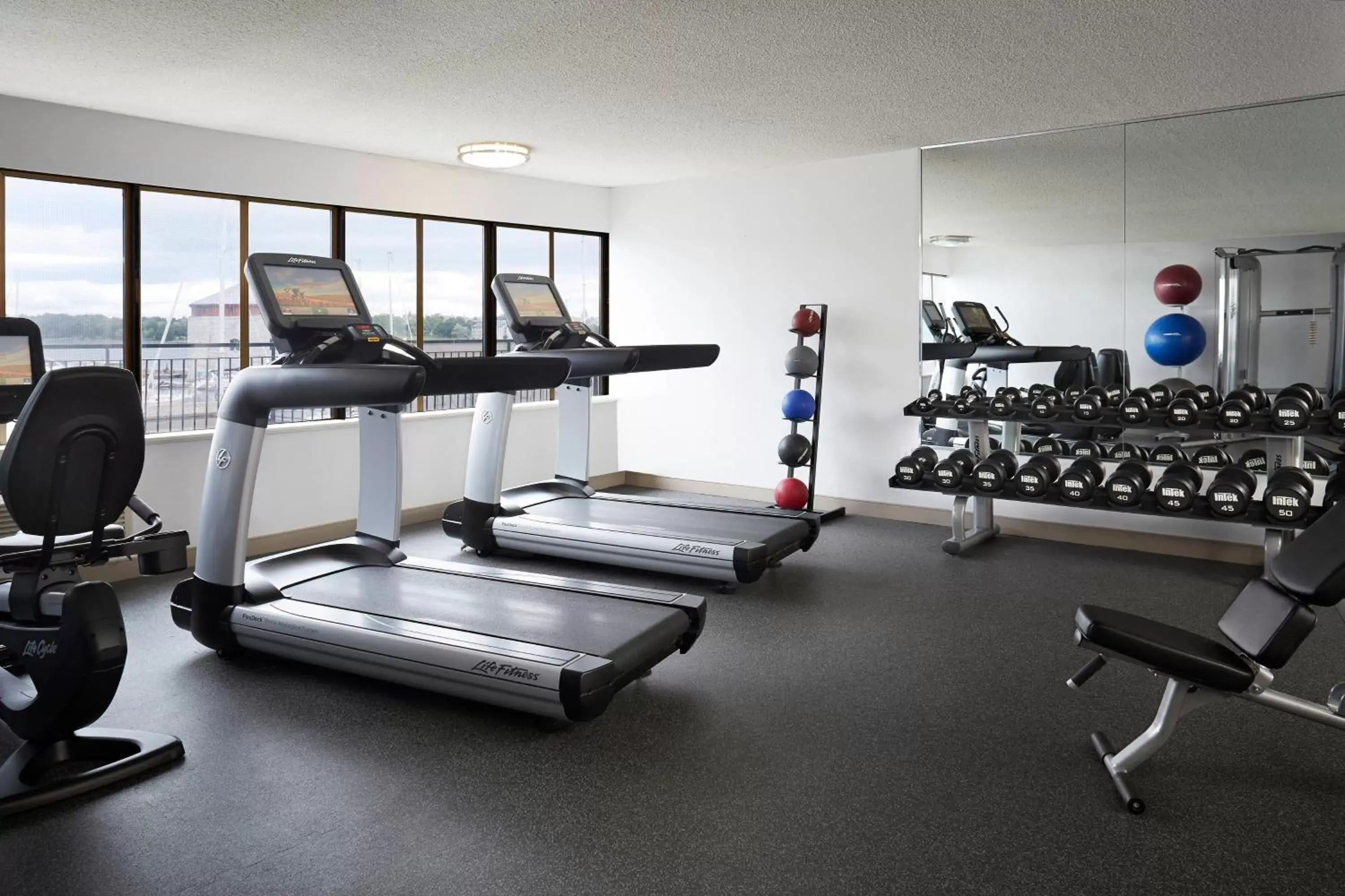 Fitness centre/facilities, Fitness Center/Facilities in Delta Hotels by Marriott Kingston Waterfront