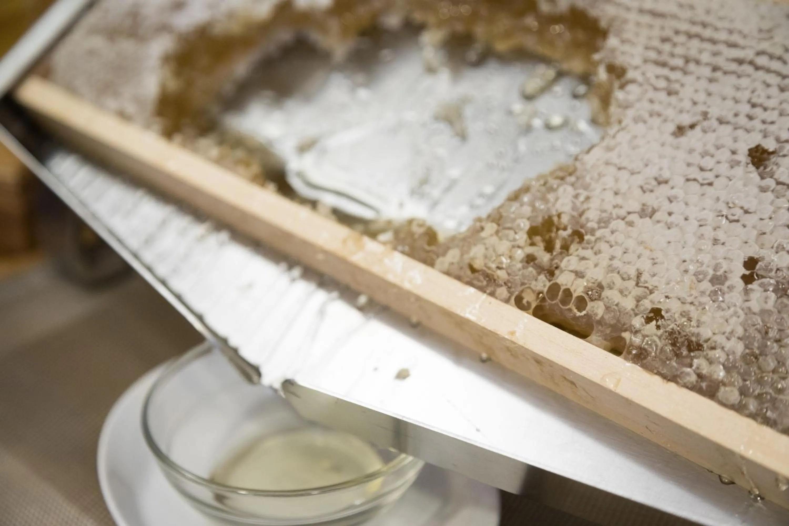 Food in Hotel Villa Tiziana