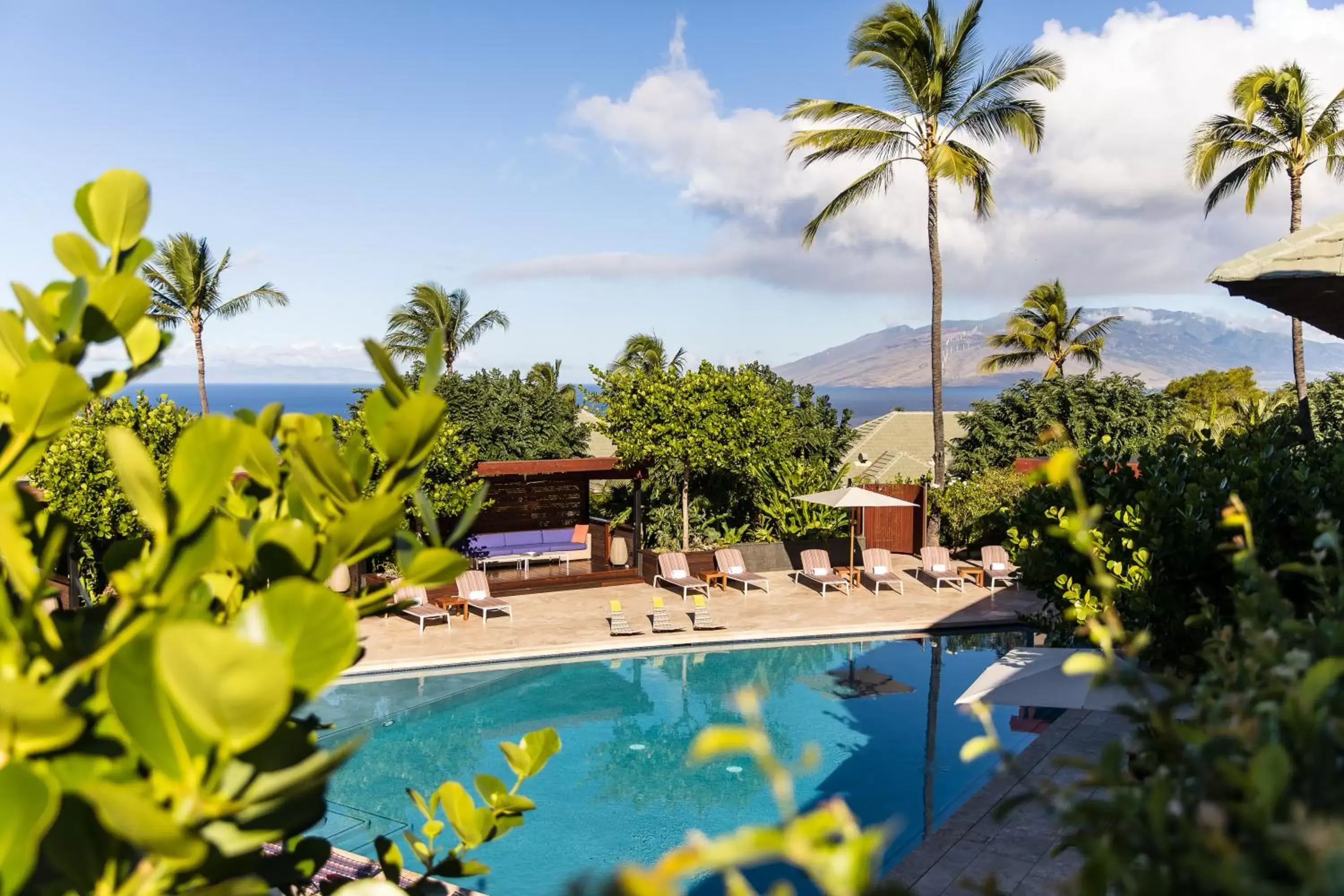 Swimming pool, Pool View in Hotel Wailea, Relais & Châteaux - Adults Only