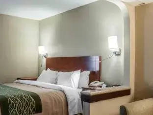 King Suite with Roll In Shower - Accessible/Non Smoking in Quality Inn & Suites near St Louis and I-255