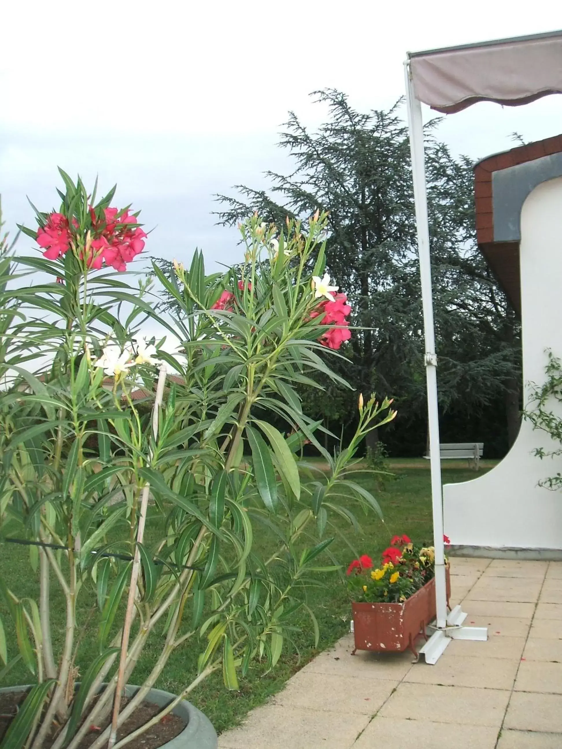 Patio in Les Jardins du Forez