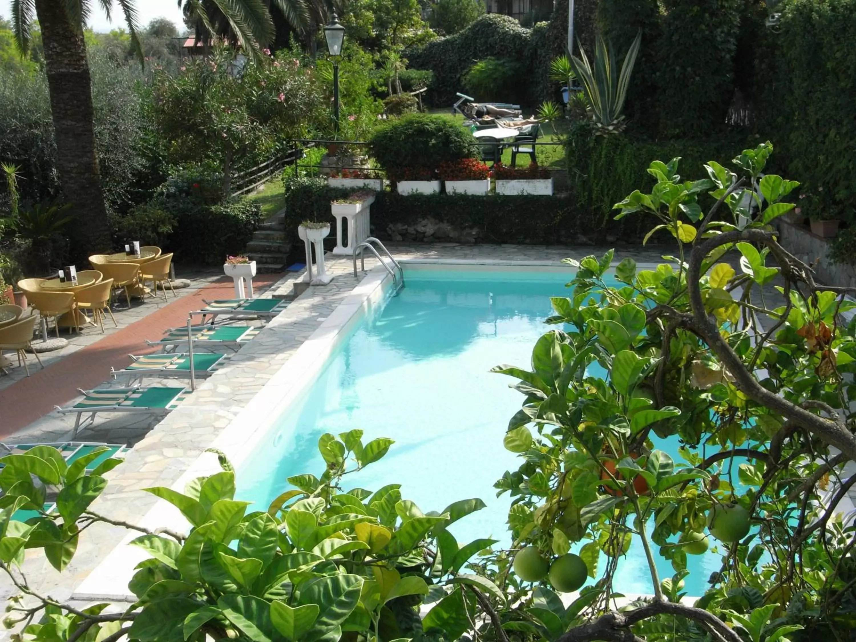 Solarium, Swimming Pool in Hotel Bellavista