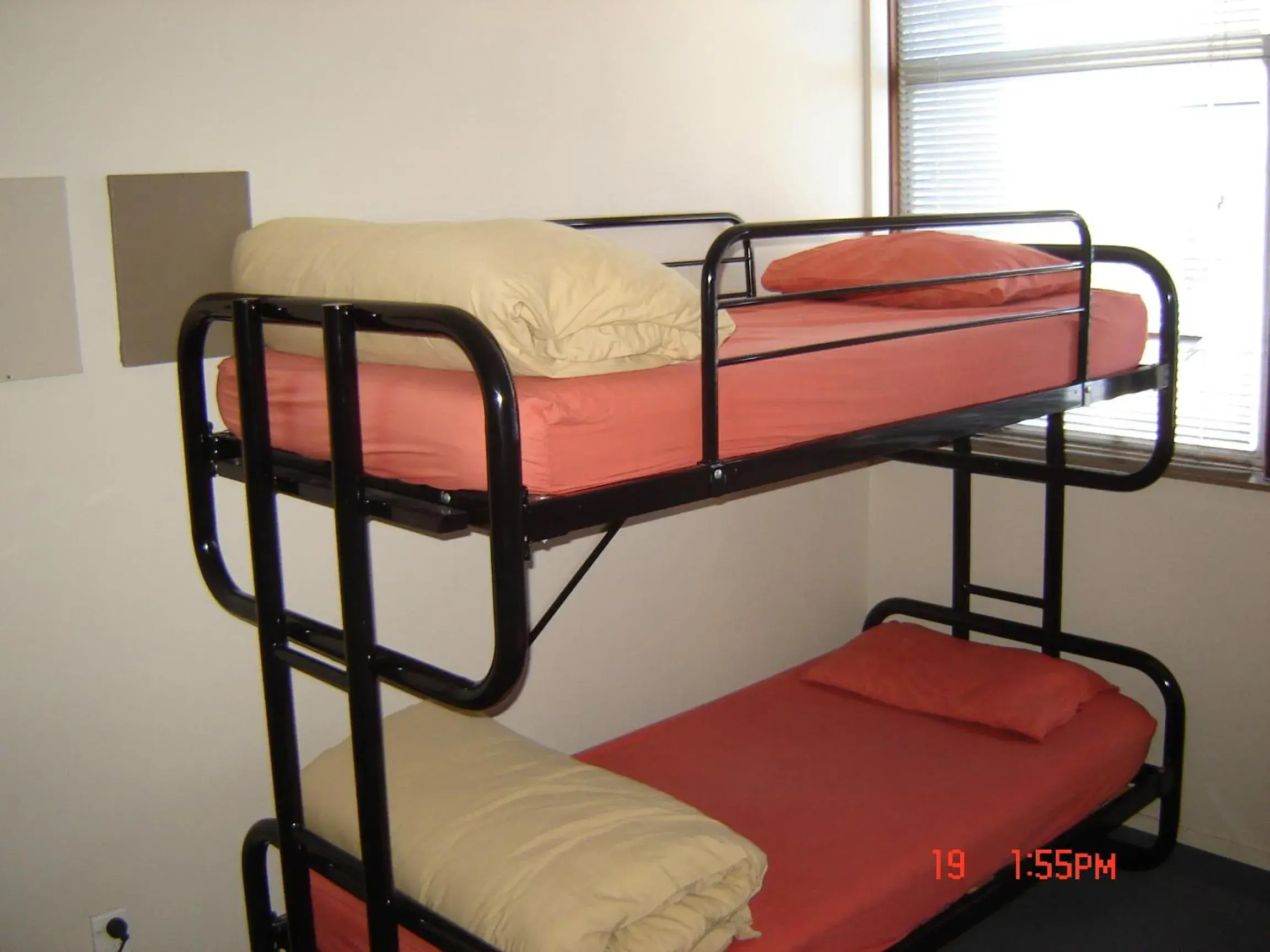 Bunk Bed in Point Break Backpackers