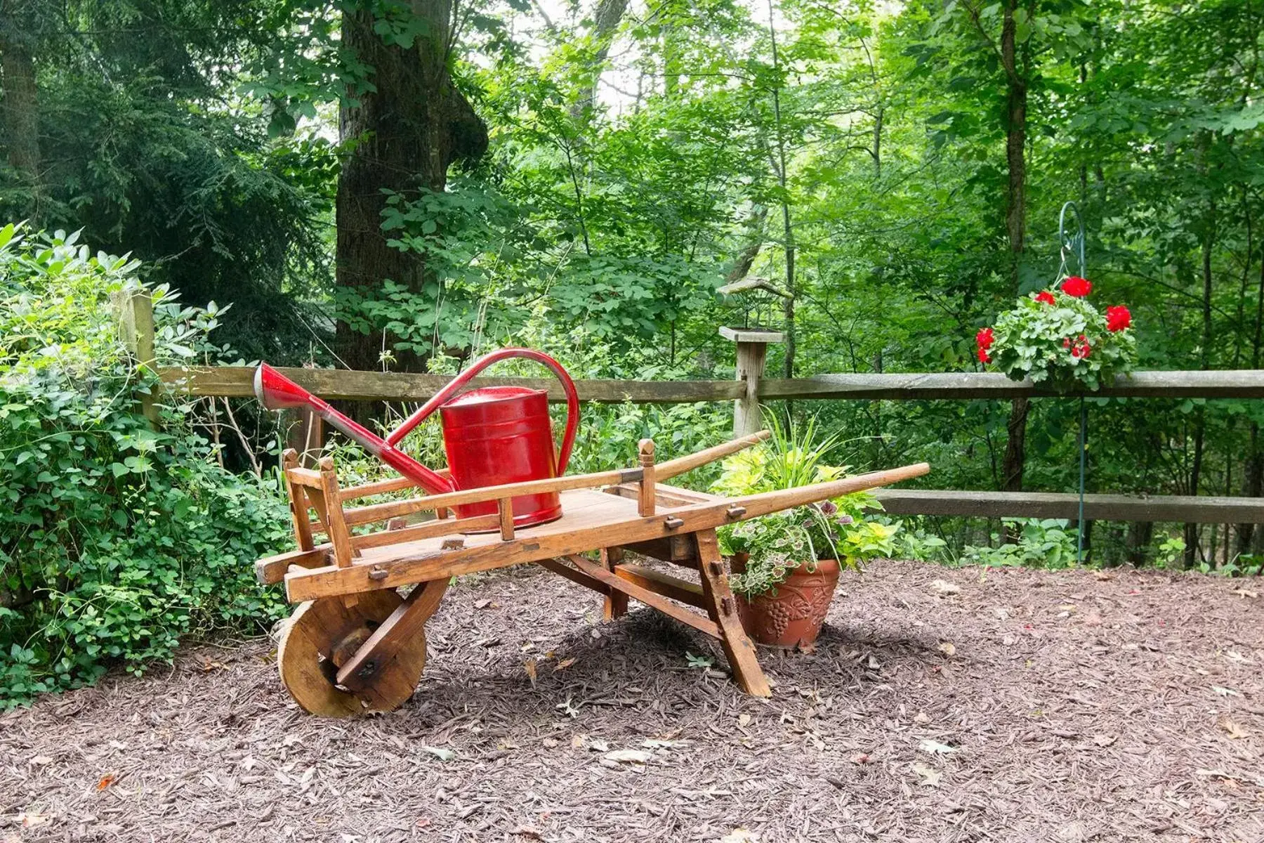 Garden in Lazy Bear Lodge