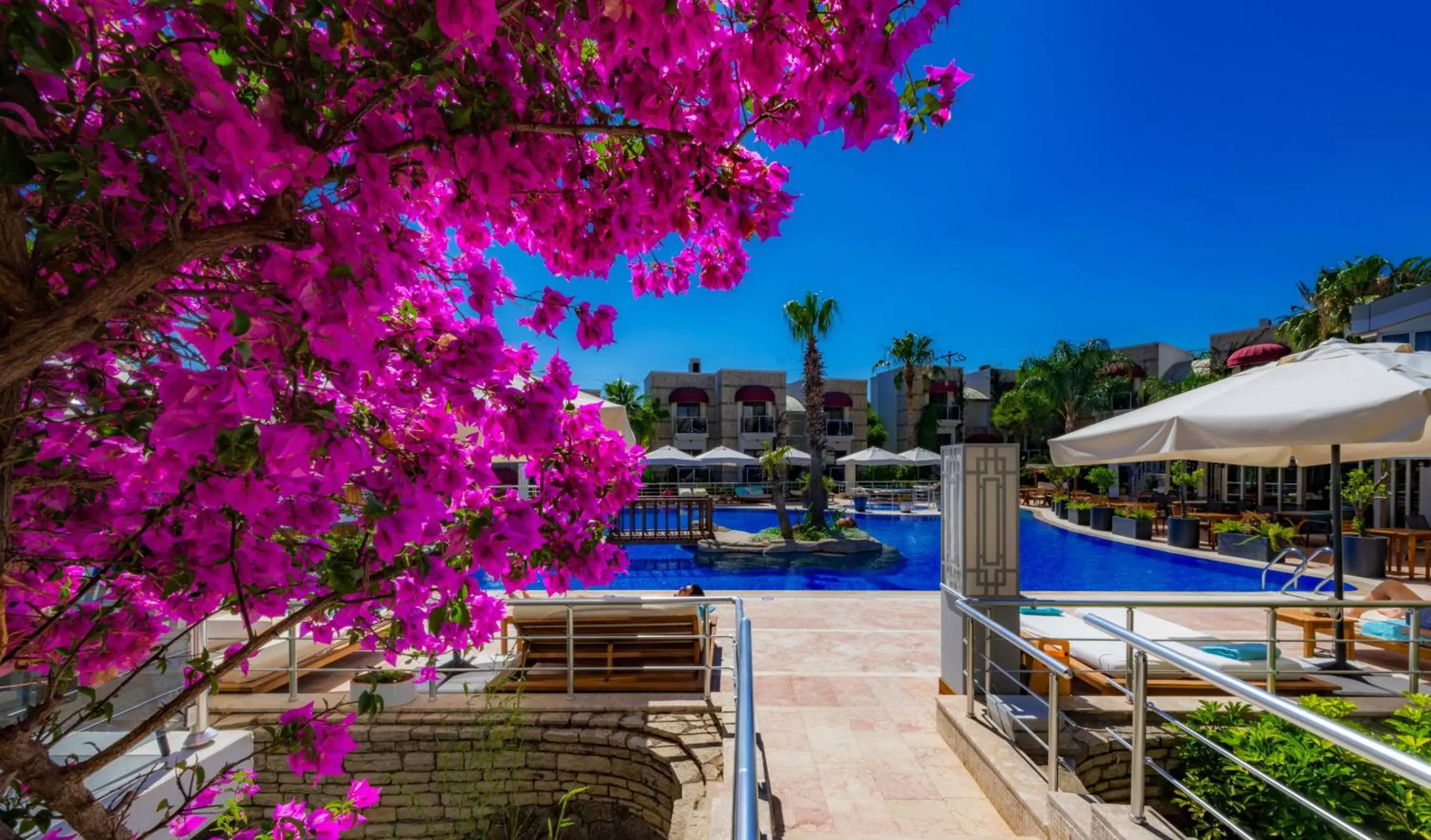 Swimming Pool in Bodrium Hotel & Spa