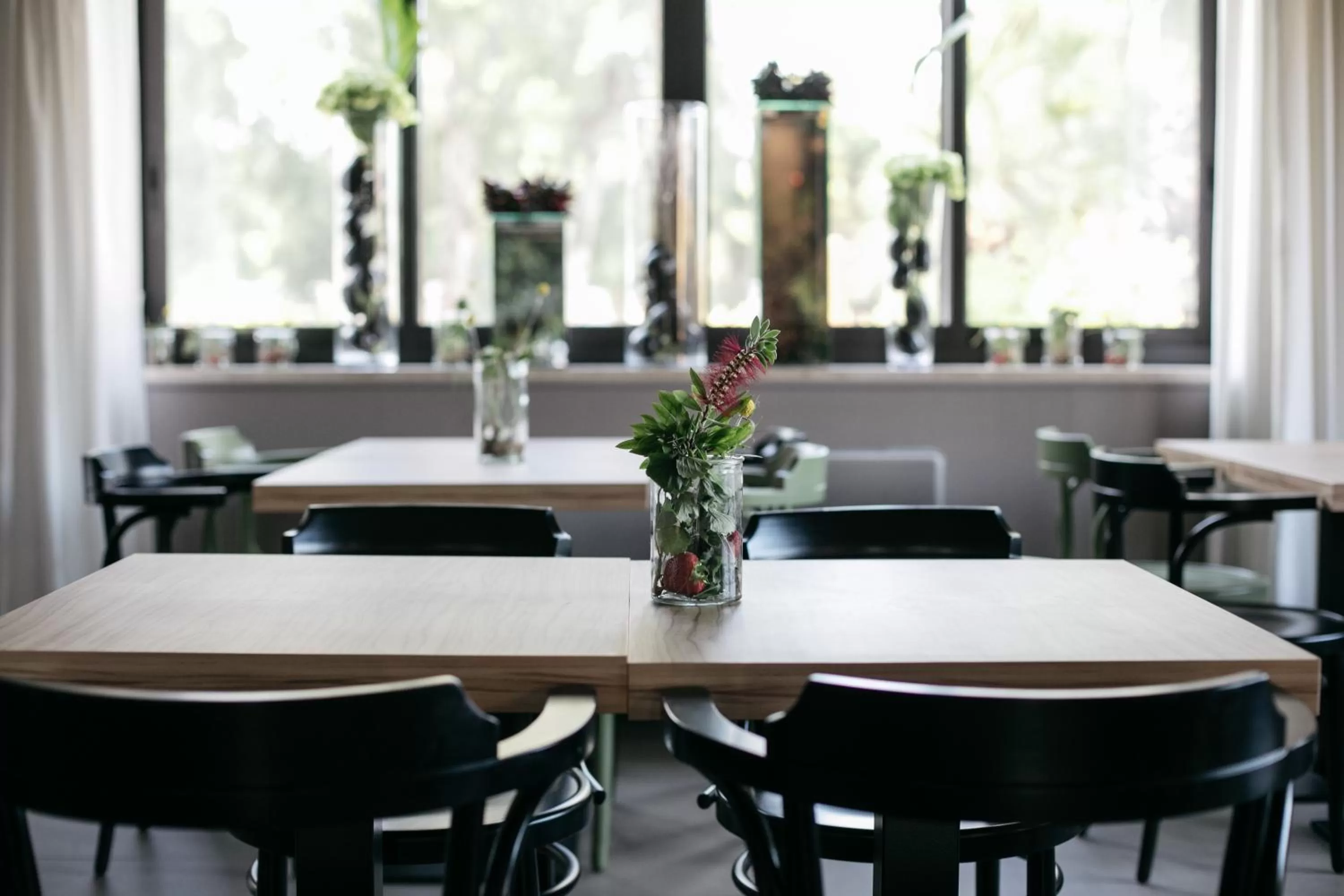 Restaurant/places to eat in Hotel Aloisi