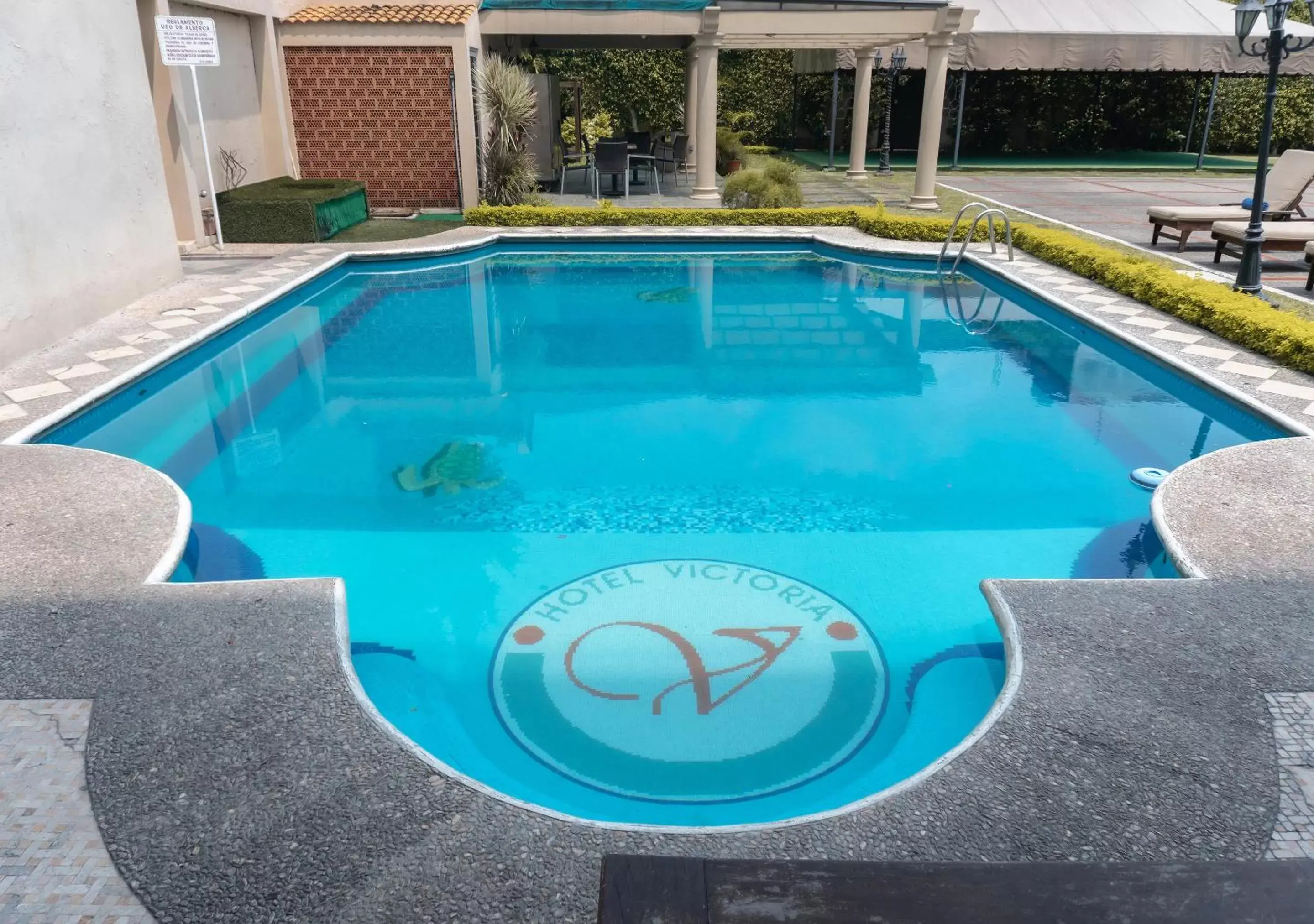 Pool view, Swimming Pool in Hotel Victoria Poza Rica by Brahma