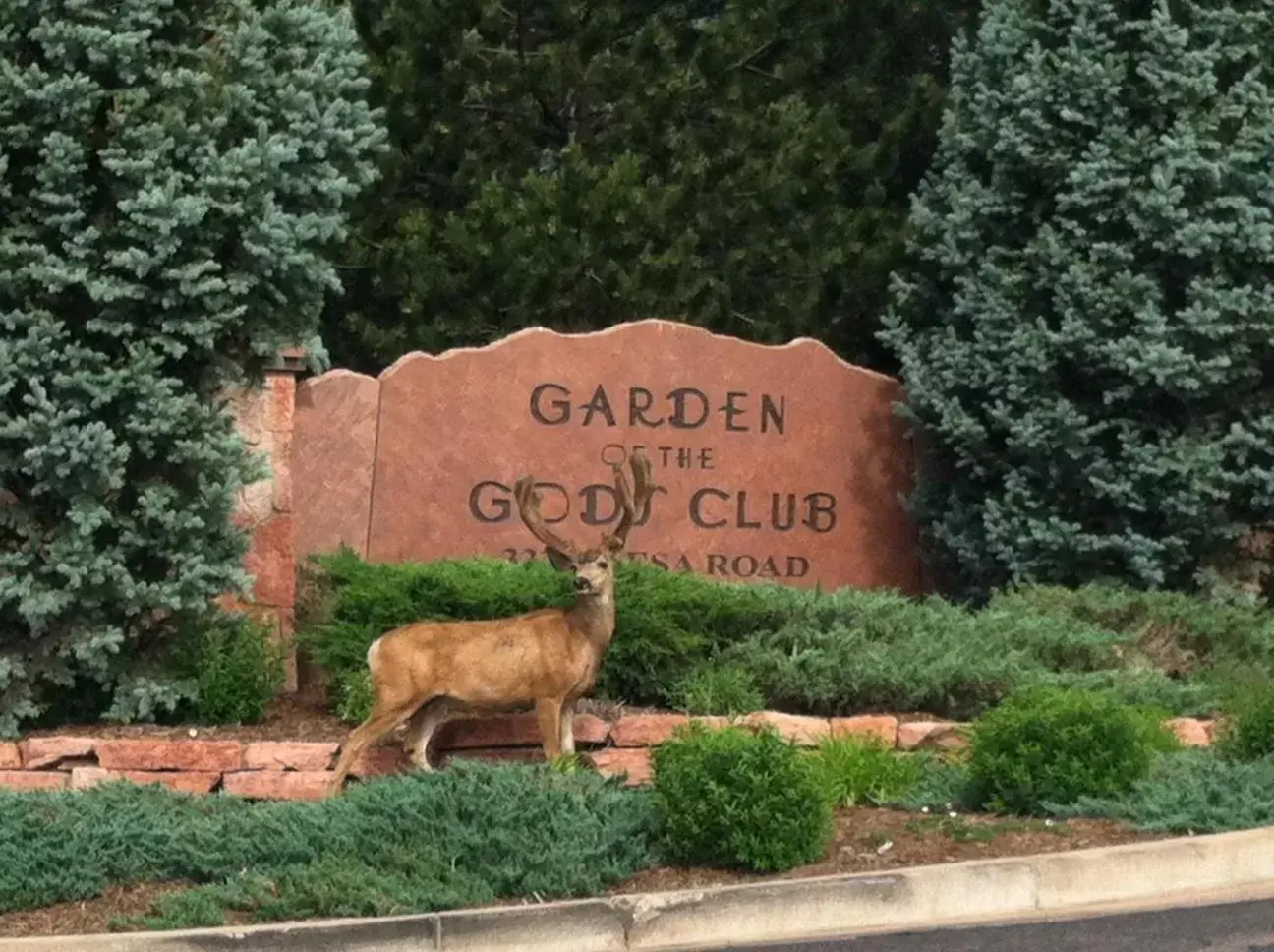 Logo/Certificate/Sign in Garden of the Gods Club & Resort