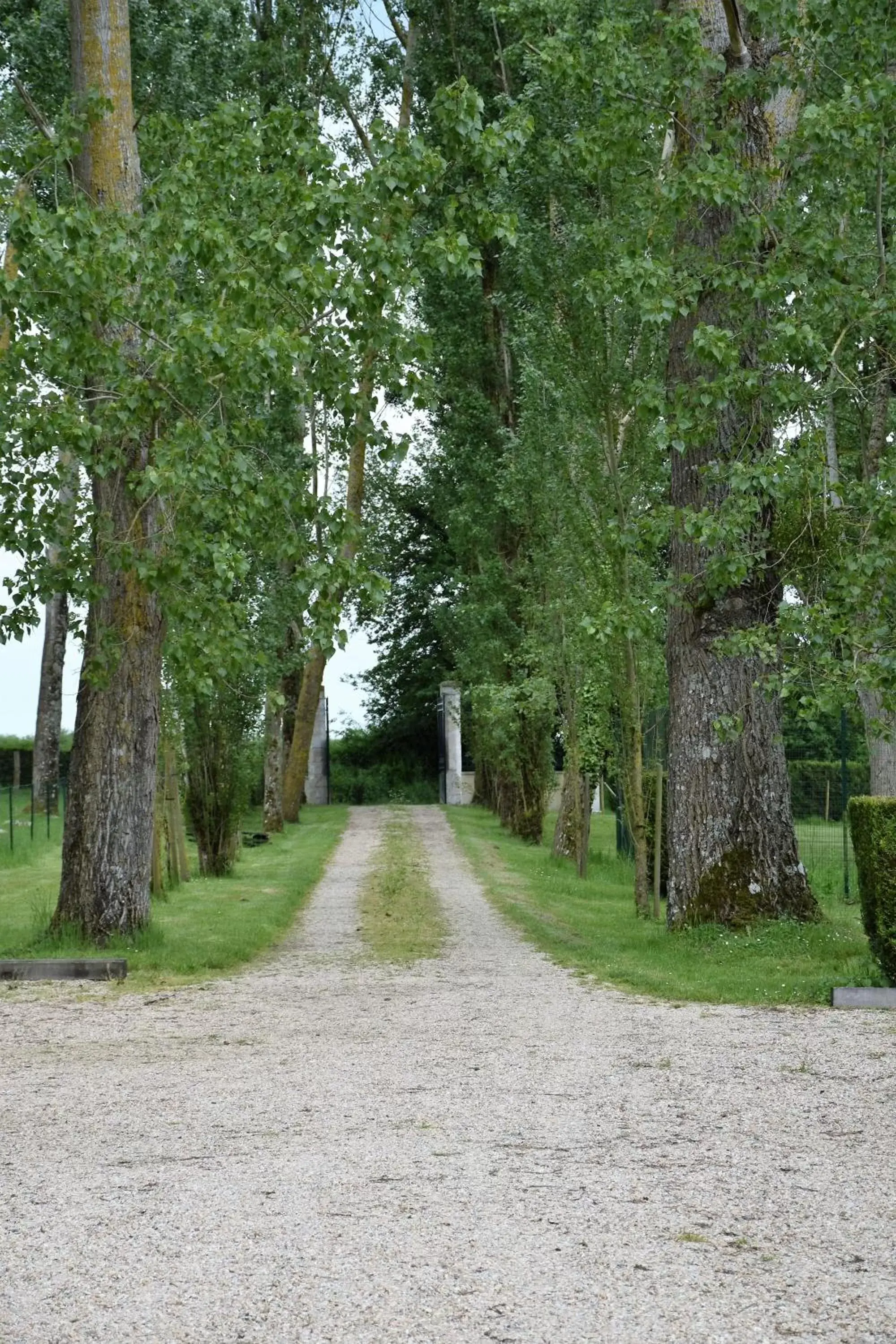 Garden view in Le Petit Chateau De Sainte Colombe