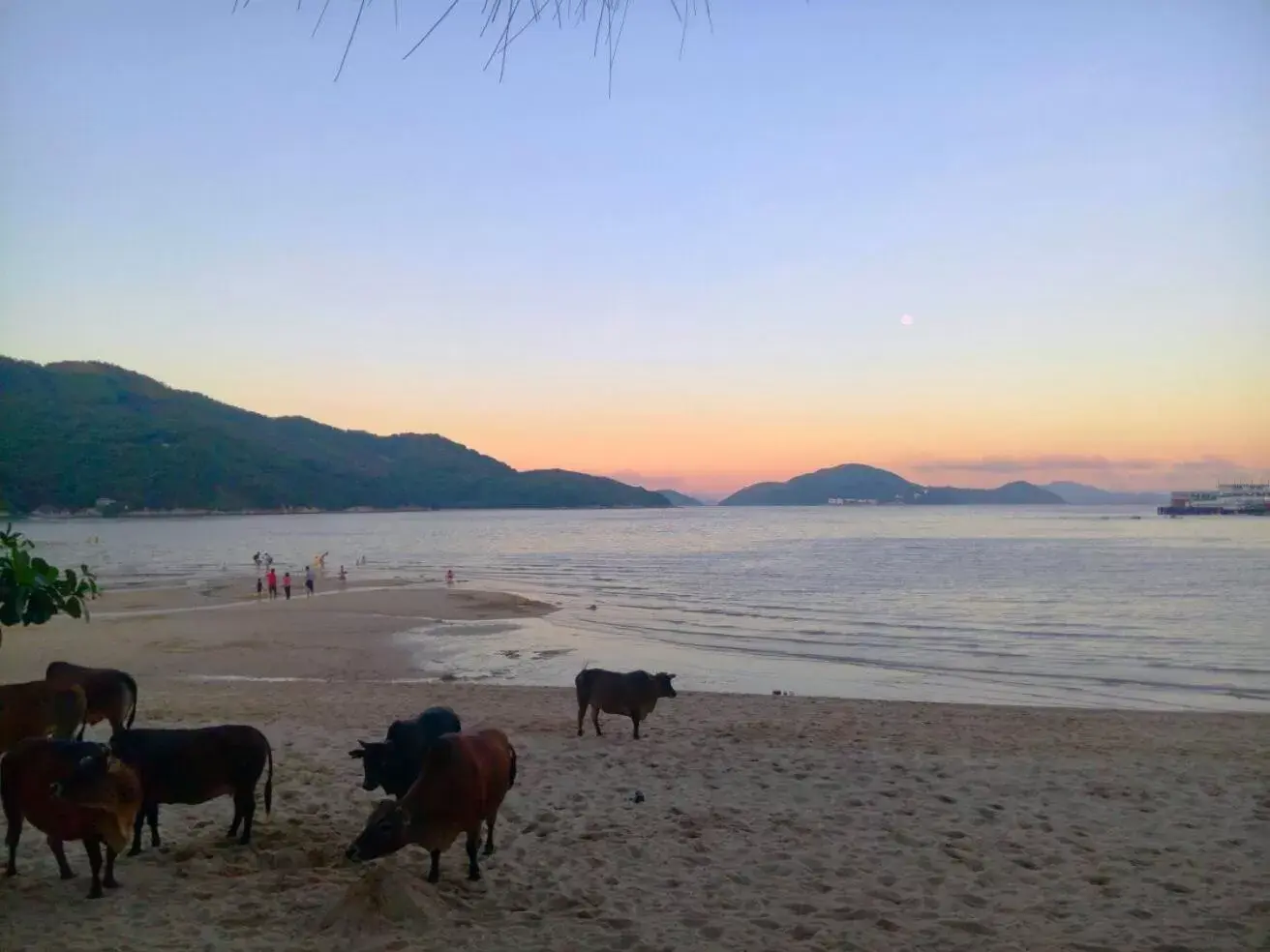 Beach in Silvermine Beach Resort