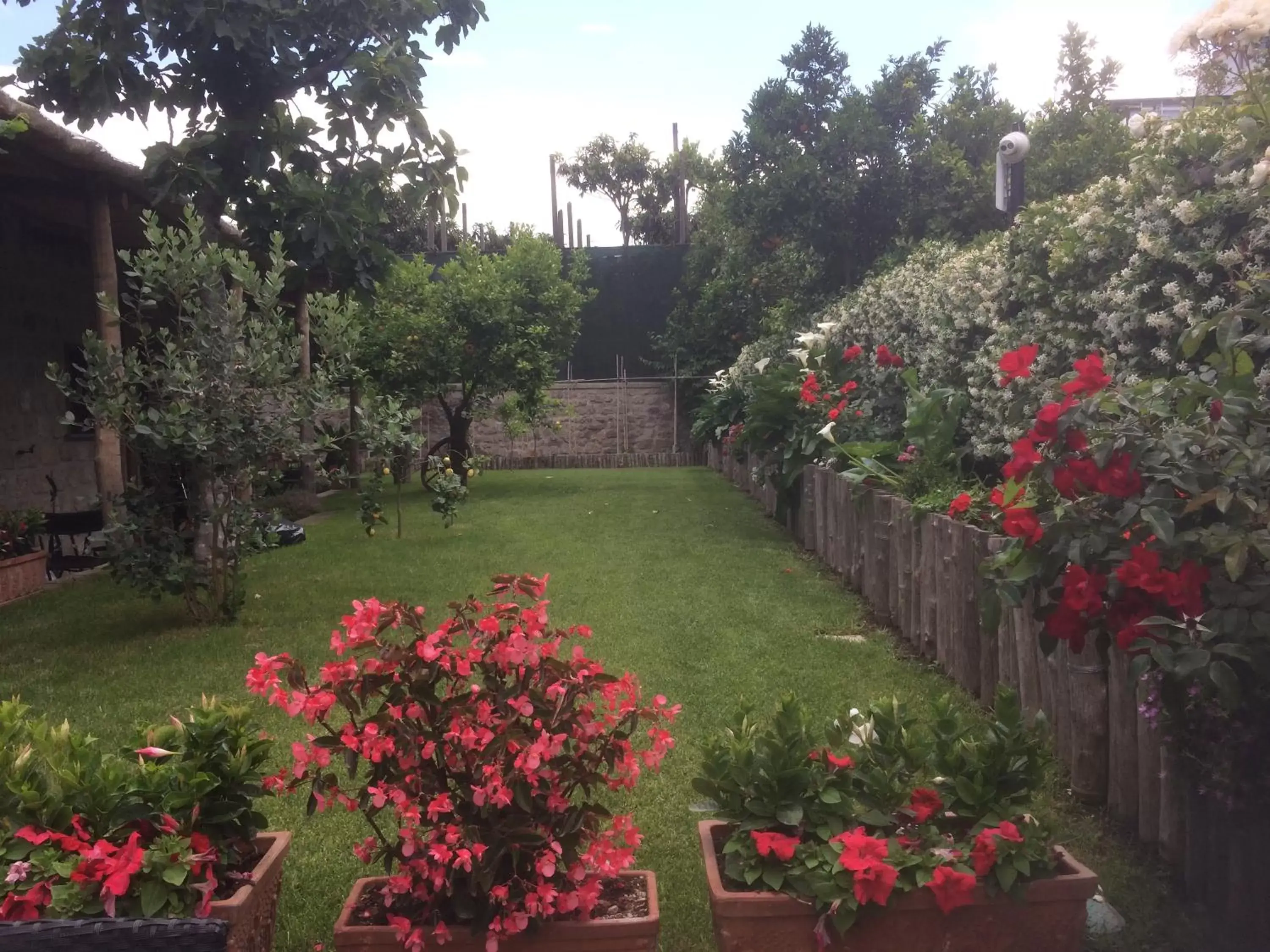 Garden in Giardino Sorrentino