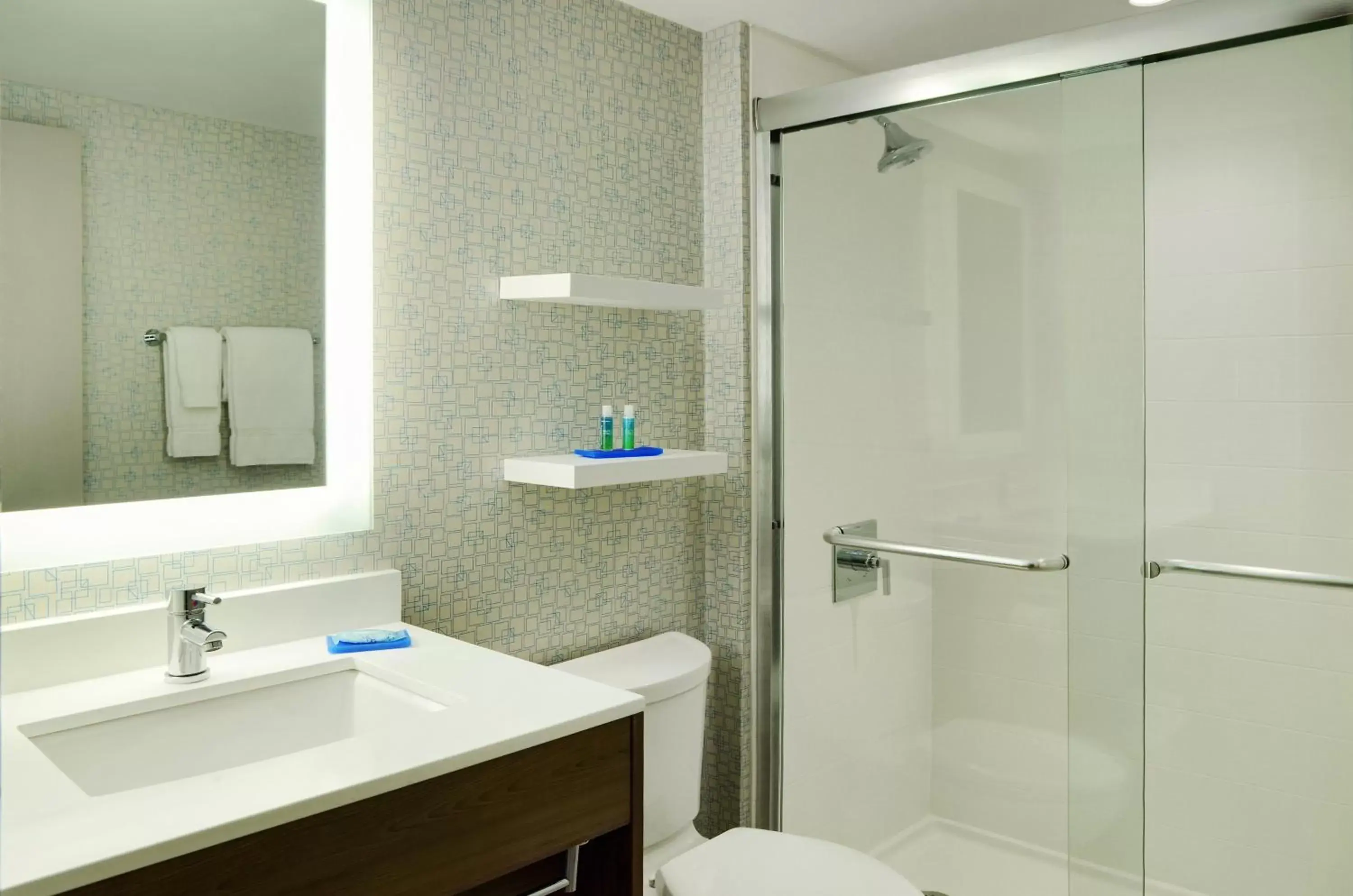 Bathroom in Holiday Inn Express Toronto Downtown, an IHG Hotel