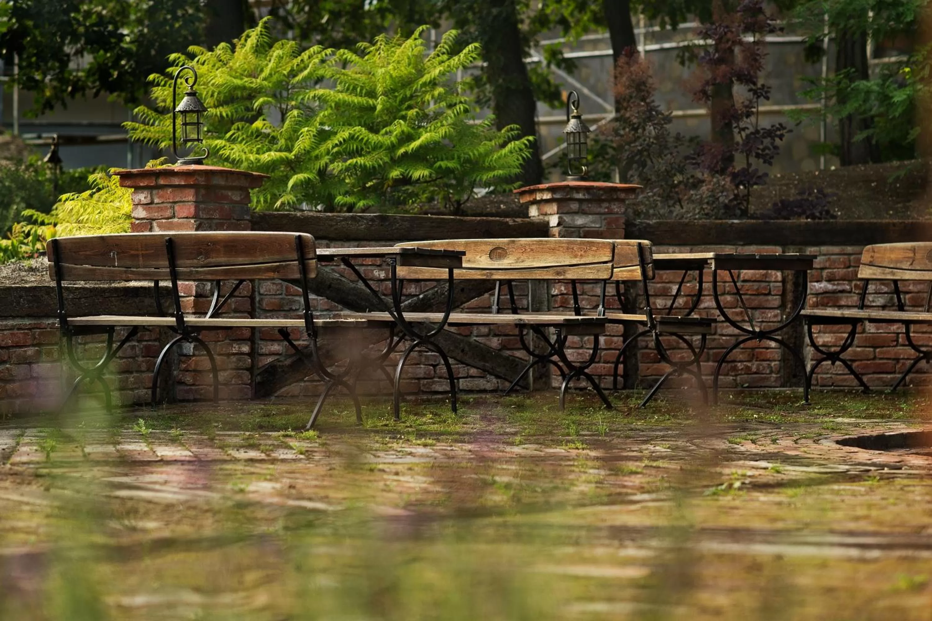 Area and facilities in ForRest Hotel & Restaurant