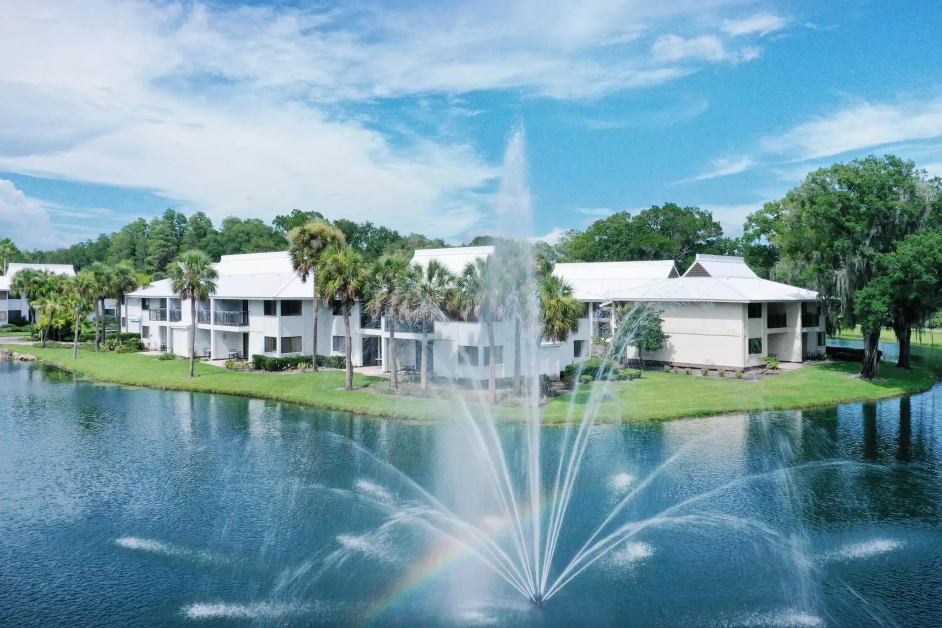 Lake view, Swimming Pool in Saddlebrook Golf Resort & Spa Tampa North-Wesley Chapel