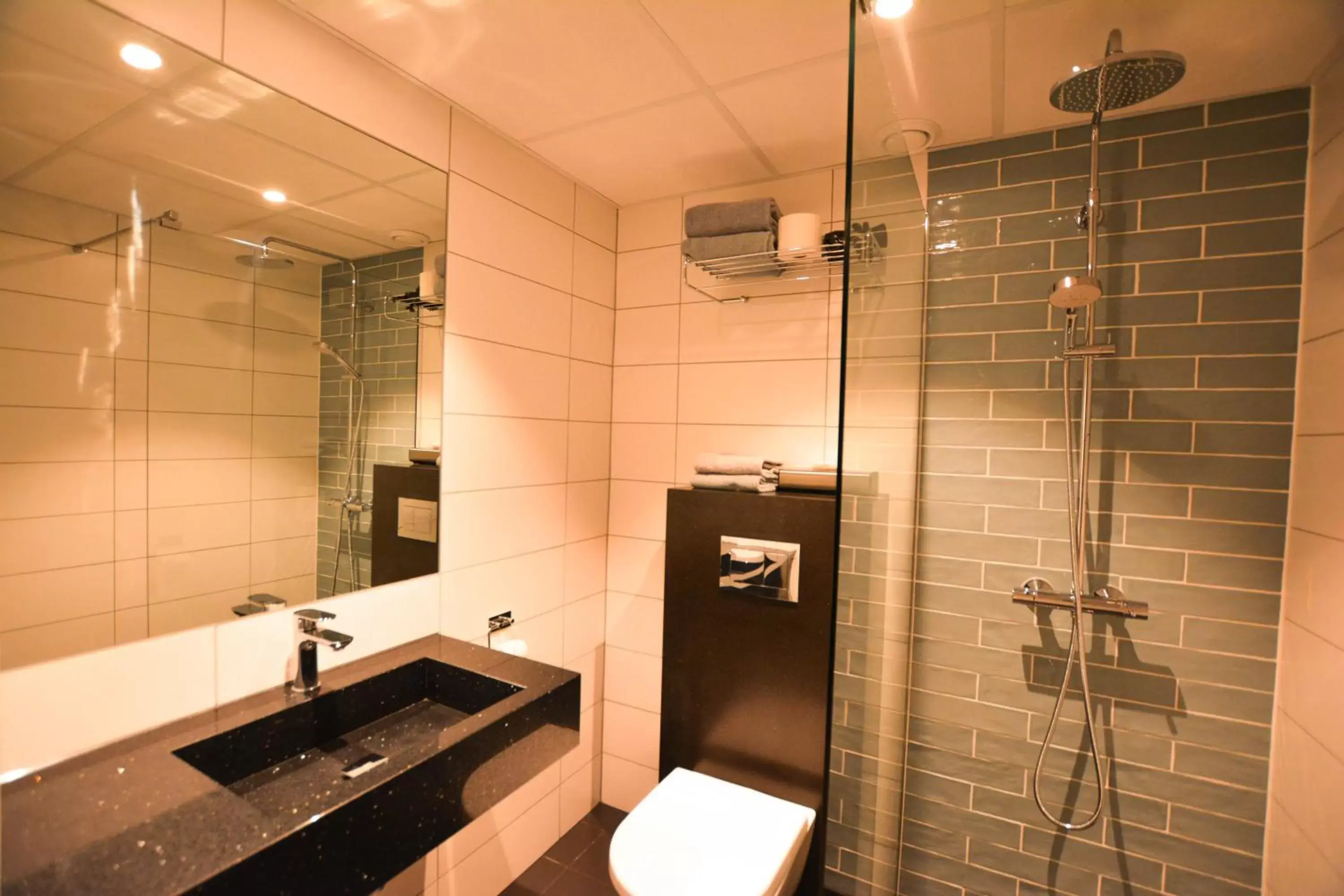 Toilet, Bathroom in Quality Hotel Grand Royal