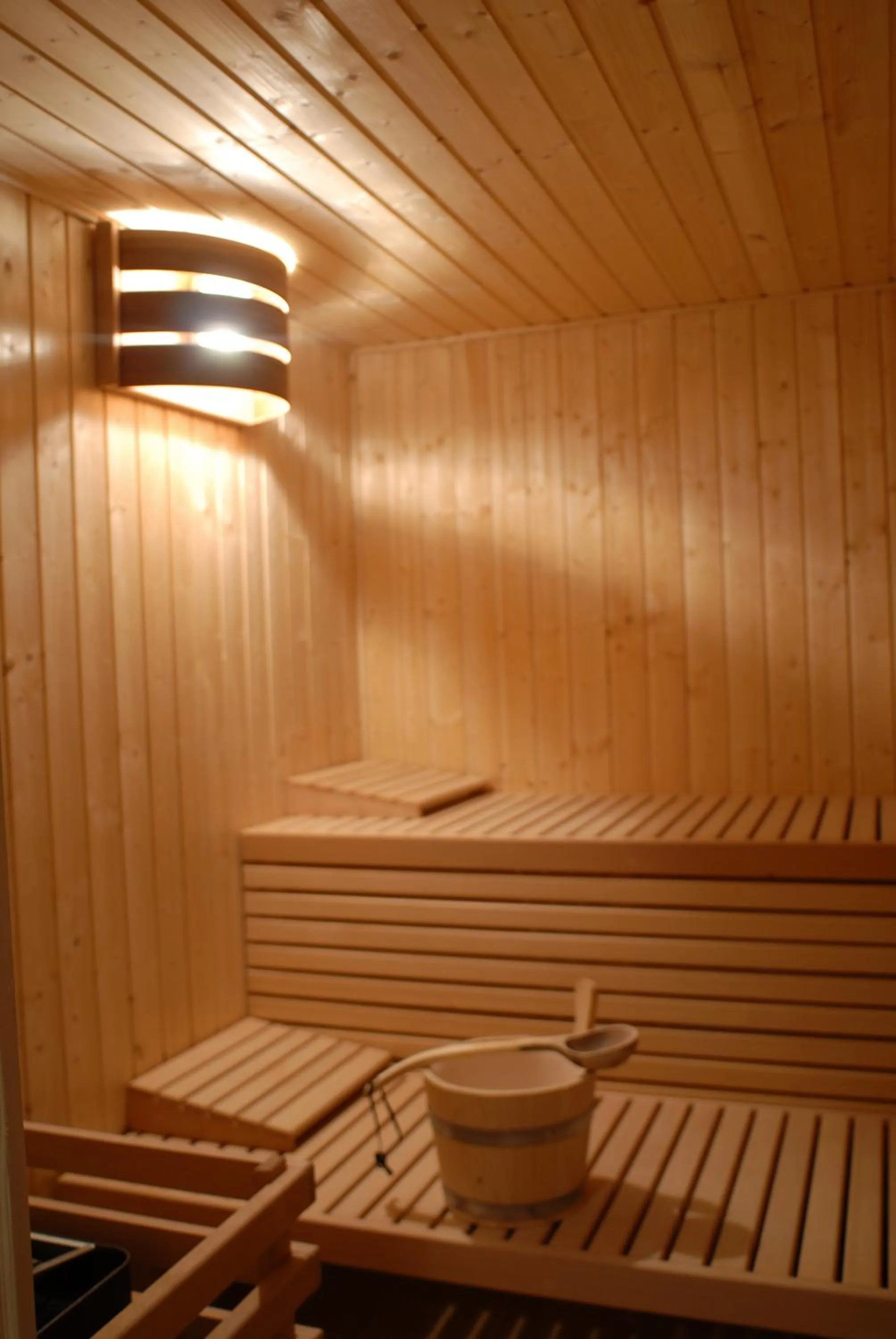 Sauna in Aparthotel Snjezna Kraljica