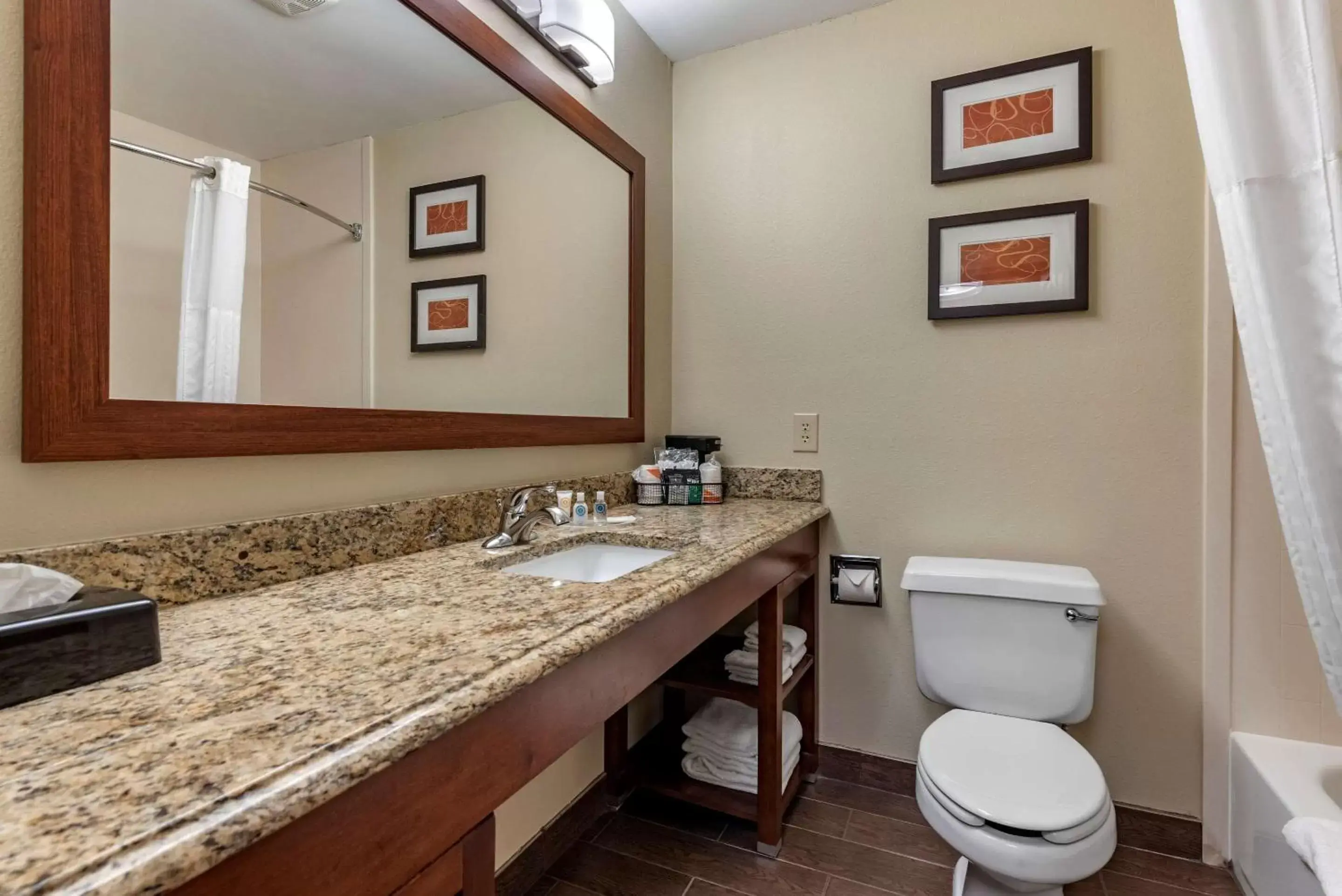 Photo of the whole room, Bathroom in Comfort Suites Terre Haute University Area