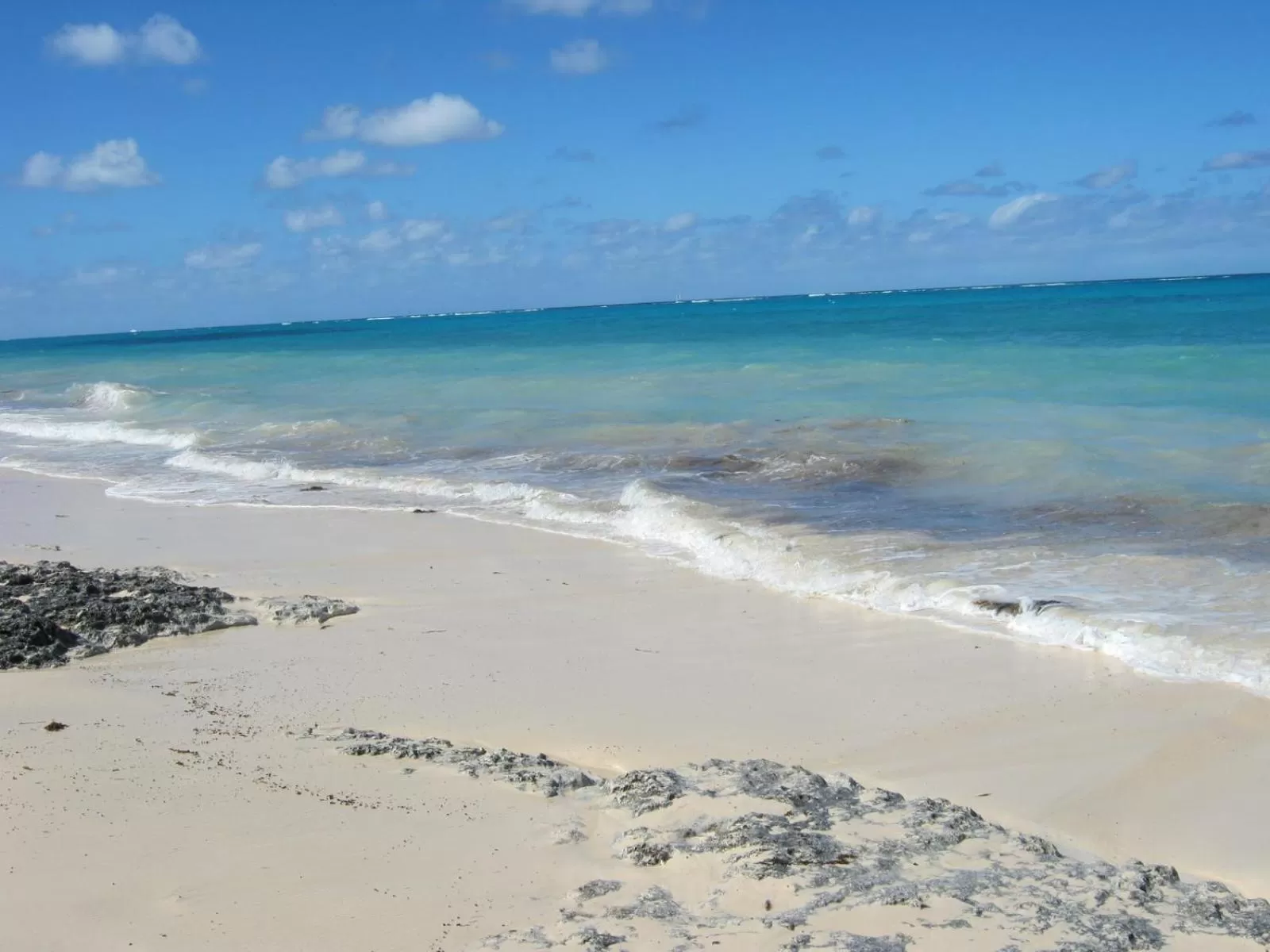 Beach in Golden Palm B & B