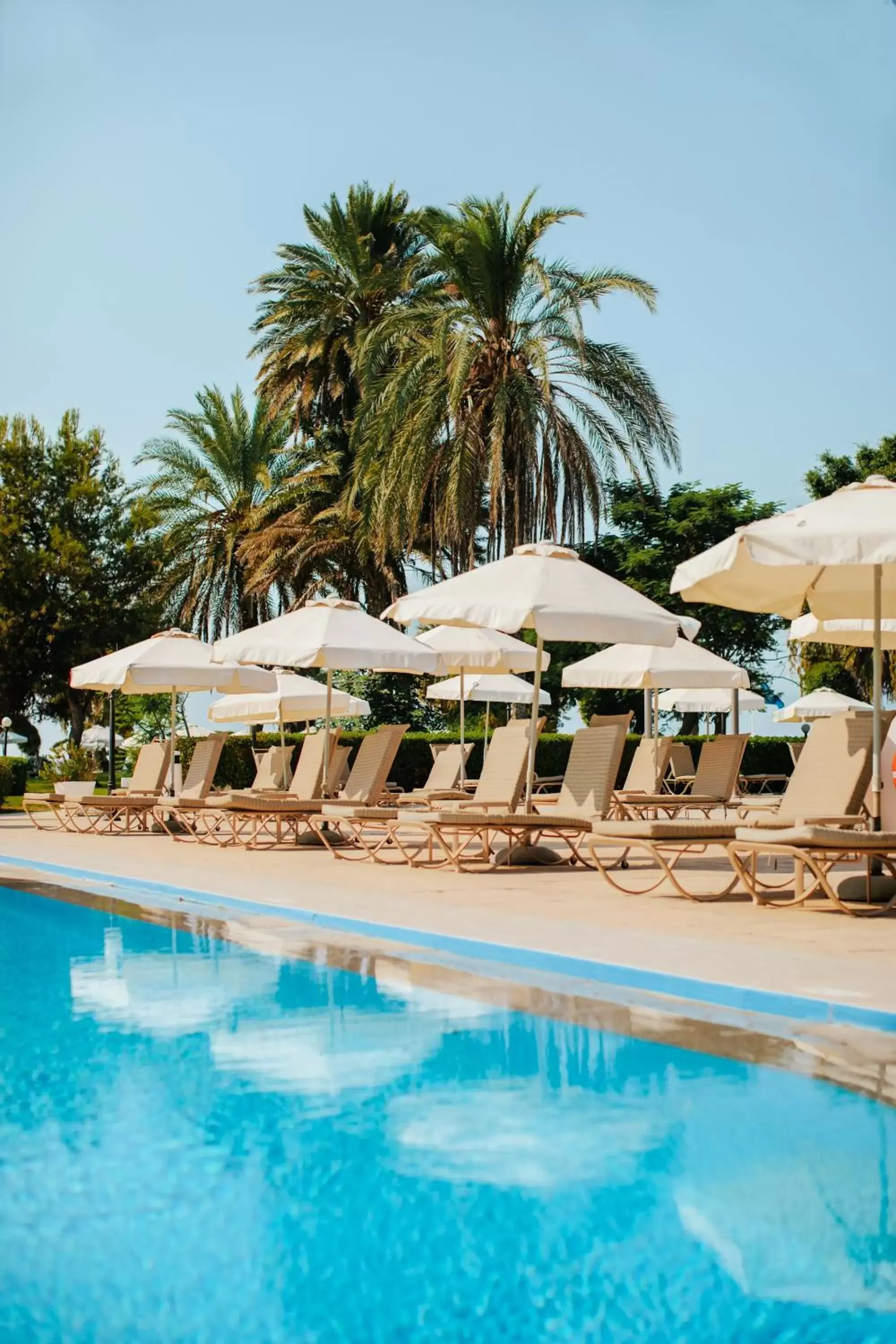 Swimming Pool in Louis Imperial Beach